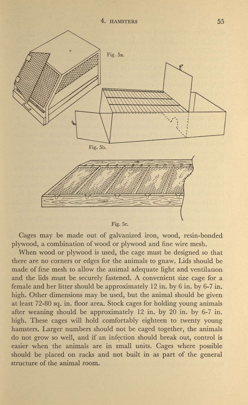 4. HAMSTERS 55 Fig. 5b. Fig. 5c. Cages may be made out of galvanized iron, wood, resin-bonded plywood, a combination of wood or plywood and fine wire mesh. When wood or plywood is used, the cage must be designed so that there are no corners or edges for the animals to gnaw. Lids should be made of fine mesh to allow the animal adequate light and ventilation and the lids must be securely fastened. A convenient size cage for a female and her litter should be approximately 12 in. by 6 in. by 6-7 in. high. Other dimensions may be used, but the animal should be given at least 72-80 sq. in. floor area. Stock cages for holding young animals after weaning should be approximately 12 in. by 20 in. by 6-7 in. high. These cages will hold comfortably eighteen to twenty young hamsters. Larger numbers should not be caged together, the animals do not grow so well, and if an infection should break out, control is easier when the animals are in small units. Cages where possible should be placed on racks and not built in as part of the general structure of the animal room.