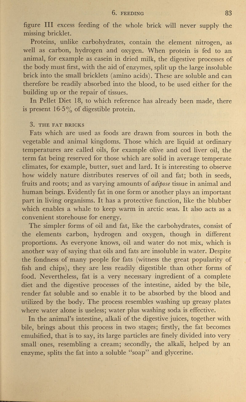 6. FEEDING 83 figure III excess feeding of the whole brick will never supply the missing bricklet. Proteins, unlike carbohydrates, contain the element nitrogen, as well as carbon, hydrogen and oxygen. When protein is fed to an animal, for example as casein in dried milk, the digestive processes of the body must first, with the aid of enzymes, spht up the large insoluble brick into the small bricklets (amino acids). These are soluble and can therefore be readily absorbed into the blood, to be used either for the building up or the repair of tissues. In Pellet Diet 18, to which reference has already been made, there is present 16-5% of digestible protein. 3. THE FAT BRICKS Fats which are used as foods are drawn from sources in both the vegetable and animal kingdoms. Those which are liquid at ordinary temperatures are called oils, for example olive and cod liver oil, the term fat being reserved for those which are solid in average temperate climates, for example, butter, suet and lard. It is interesting to observe how widely nature distributes reserves of oil and fat; both in seeds, fruits and roots; and as varying amounts of adipose tissue in animal and human beings. Evidently fat in one form or another plays an important part in living organisms. It has a protective function, like the blubber which enables a whale to keep warm in arctic seas. It also acts as a convenient storehouse for energy. The simpler forms of oil and fat, like the carbohydrates, consist of the elements carbon, hydrogen and oxygen, though in different proportions. As everyone knows, oil and water do not mix, which is another way of saying that oils and fats are insoluble in water. Despite the fondness of many people for fats (witness the great popularity of fish and chips), they are less readily digestible than other forms of food. Nevertheless, fat is a very necessary ingredient of a complete diet and the digestive processes of the intestine, aided by the bile, render fat soluble and so enable it to be absorbed by the blood and utilized by the body. The process resembles washing up greasy plates where water alone is useless; water plus washing soda is effective. In the animal's intestine, alkali of the digestive juices, together with bile, brings about this process in two stages; firstly, the fat becomes emulsified, that is to say, its large particles are finely divided into very small ones, resembling a cream; secondly, the alkali, helped by an enzyme, splits the fat into a soluble soap and glycerine.