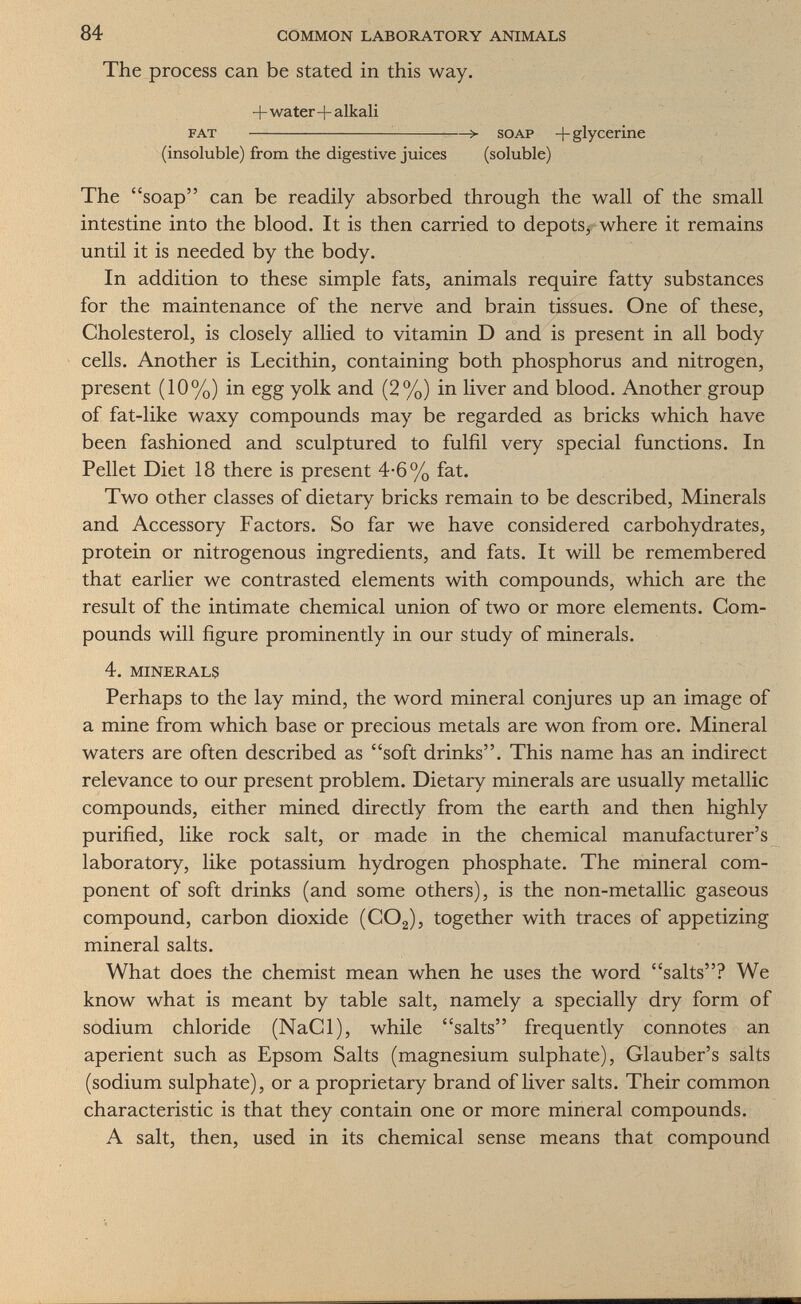 84 COMMON LABORATORY ANIMALS The process can be stated in this way. +water+alkali FAT ^ (insoluble) from the digestive juices > SOAP + glycerine (soluble) The soap can be readily absorbed through the wall of the small intestine into the blood. It is then carried to depots/where it remains until it is needed by the body. In addition to these simple fats, animals require fatty substances for the maintenance of the nerve and brain tissues. One of these, Cholesterol, is closely allied to vitamin D and is present in all body cells. Another is Lecithin, containing both phosphorus and nitrogen, present (10%) in egg yolk and (2%) in liver and blood. Another group of fat-like waxy compounds may be regarded as bricks which have been fashioned and sculptured to fulfil very special functions. In Pellet Diet 18 there is present 4-6% fat. Two other classes of dietary bricks remain to be described. Minerals and Accessory Factors. So far we have considered carbohydrates, protein or nitrogenous ingredients, and fats. It will be remembered that earlier we contrasted elements with compounds, which are the result of the intimate chemical union of two or more elements. Com¬ pounds will figure prominently in our study of minerals. 4. MINERALS Perhaps to the lay mind, the word mineral conjures up an image of a mine from which base or precious metals are won from ore. Mineral waters are often described as soft drinks. This name has an indirect relevance to our present problem. Dietary minerals are usually metallic compounds, either mined directly from the earth and then highly purified, like rock salt, or made in the chemical manufacturer's laboratory, like potassium hydrogen phosphate. The mineral com¬ ponent of soft drinks (and some others), is the non-metallic gaseous compound, carbon dioxide (CO2), together with traces of appetizing mineral salts. What does the chemist mean when he uses the word salts? We know what is meant by table salt, namely a specially dry form of sodium chloride (NaCl), while salts frequently connotes an aperient such as Epsom Salts (magnesium sulphate), Glauber's salts (sodium sulphate), or a proprietary brand of liver salts. Their common characteristic is that they contain one or more mineral compounds. A salt, then, used in its chemical sense means that compound