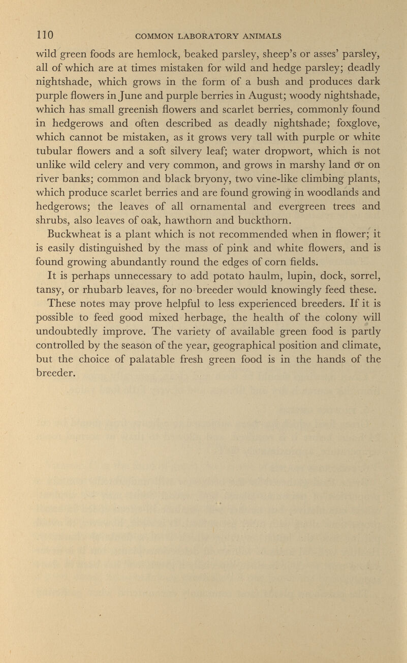по COMMON LABORATORY ANIMALS wild green foods are hemlock, beaked parsley, sheep's or asses' parsley, all of which are at times mistaken for wild and hedge parsley; deadly nightshade, which grows in the form of a bush and produces dark purple flowers in June and purple berries in August; woody nightshade, which has small greenish flowers and scarlet berries, commonly found in hedgerows and often described as deadly nightshade; foxglove, which cannot be mistaken, as it grows very tall with purple or white tubular flowers and a soft silvery leaf; water dropwort, which is not unlike wild celery and very common, and grows in marshy land or on river banks; common and black bryony, two vine-like climbing plants, which produce scarlet berries and are found growing in woodlands and hedgerows; the leaves of all ornamental and evergreen trees and shrubs, also leaves of oak, hawthorn and buckthorn. Buckwheat is a plant which is not recommended when in flower; it is easily distinguished by the mass of pink and white flowers, and is found growing abundantly round the edges of corn fields. It is perhaps unnecessary to add potato haulm, lupin, dock, sorrel, tansy, or rhubarb leaves, for no breeder would knowingly feed these. These notes may prove helpful to less experienced breeders. If it is possible to feed good mixed herbage, the health of the colony will undoubtedly improve. The variety of available green food is partly controlled by the season of the year, geographical position and climate, but the choice of palatable fresh green food is in the hands of the breeder.