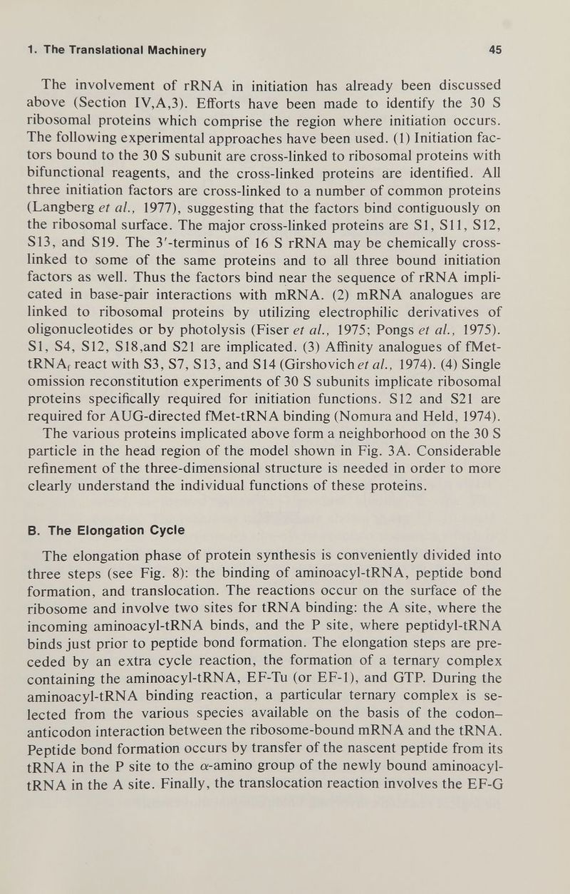 1. The Translational Machinery 45 The involvement of rRNA in initiation has already been discussed above (Section IV,A,3). Eflforts have been made to identify the 30 S ribosomal proteins which comprise the region where initiation occurs. The following experimental approaches have been used. (1) Initiation fac¬ tors bound to the 30 S subunit are cross-linked to ribosomal proteins with bifunctional reagents, and the cross-linked proteins are identified. All three initiation factors are cross-linked to a number of common proteins (Langberg et al., 1977), suggesting that the factors bind contiguously on the ribosomal surface. The major cross-linked proteins are SI, Sil, S12, S13, and S19. The 3'-terminus of 16 S rRNA may be chemically cross- linked to some of the same proteins and to all three bound initiation factors as well. Thus the factors bind near the sequence of rRNA impli¬ cated in base-pair interactions with mRNA. (2) mRNA analogues are linked to ribosomal proteins by utilizing electrophilic derivatives of oligonucleotides or by photolysis (Fiser et al., 1975; Pongs et al., 1975). SI, S4, S12, S18,and S21 are implicated. (3) Affinity analogues of fMet- tRNAf react with S3, S7, S13, and S14 (Girshovichal., 1974). (4) Single omission reconstitution experiments of 30 S subunits implicate ribosomal proteins specifically required for initiation functions. S12 and S21 are required for AUG-directed fMet-tRNA binding (Nomura and Held, 1974). The various proteins implicated above form a neighborhood on the 30 S particle in the head region of the model shown in Fig. ЗА. Considerable refinement of the three-dimensional structure is needed in order to more clearly understand the individual functions of these proteins. B. The Elongation Cycle The elongation phase of protein synthesis is conveniently divided into three steps (see Fig. 8): the binding of aminoacyl-tRNA, peptide bond formation, and translocation. The reactions occur on the surface of the ribosome and involve two sites for tRNA binding: the A site, where the incoming aminoacyl-tRNA binds, and the P site, where peptidyl-tRNA binds just prior to peptide bond formation. The elongation steps are pre¬ ceded by an extra cycle reaction, the formation of a ternary complex containing the aminoacyl-tRNA, EF-Tu (or EF-1), and GTP. During the aminoacyl-tRNA binding reaction, a particular ternary complex is se¬ lected from the various species available on the basis of the codon- anticodon interaction between the ribosome-bound mRNA and the tRNA. Peptide bond formation occurs by transfer of the nascent peptide from its tRNA in the P site to the «-amino group of the newly bound aminoacyl- tRNA in the A site. Finally, the translocation reaction involves the EF-G