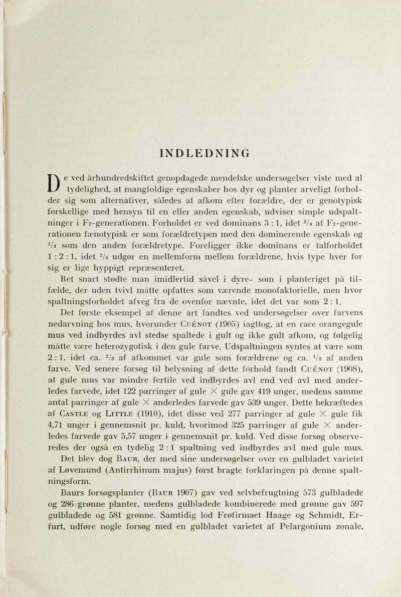 INDLEDNING De ved ârhundredskiftet genopdagede mendelske undersegelser viste med al tydelighed, at mangfoldige egenskaber hos dyr og planter arveligt forhol- der sig som alternativer, sâledes at afkom efter foraeldre, der er genotypisk forskellige med hensyn til en eller anden egenskab, udviser simple udspalt- ninger i F2-generationen. Forholdet er ved dominans 3 : 1, idet V4 af Fa-gene- rationen fsenotypisk er som forseldretypen med den dominerende egenskab og V4 som den anden forseldretype. Foreligger ikke dominans er talforholdet 1:2:1, idet '/4 udg0r en mellemform mellem foraeldrene, hvis type hver for sig er lige hyppigt reprsesenteret. Ret snart stodte man imidlertid sâvel i dyre- som i planteriget pâ til- fselde, der uden tvivl matte opfattes som vaerende monofaktorielle, men hvor spaltningsforholdet afveg fra de ovenfor nsevnte, idet det var som 2:1. Det forste eksempel af denne art fandtes ved undersogelser over farvens nedarvning hos mus, hvorunder Cuénot (1905) iagttog, at en race orangégule mus ved indbyrdes avi stedse spaltede i gult og ikke gult afkom, og folgelig matte vsere heterozygotisk i den guie farve. Udspaltningen syntes at vsere som 2 : 1, idet ca. Va af afkommet var gule som forseldrene og ca. Vs af anden farve. Ved senere forsog til belysning af dette forhold fandt Cuénot (1908), at gule mus var mindre fertile ved indbyrdes avi end ved avi med ander- ledes farvede, idet 122 parringer af gule X gule gav 419 unger, medens samme antal parringer af gule X anderledes farvede gav 539 unger. Dette bekraeftedes af Castle og Little (19*10), idet disse ved 277 parringer af gule X gule fik 4,71 unger i gennemsnit pr. kuld, hvorimod 325 parringer af gule X ander¬ ledes farvede gav 5,57 unger i gennemsnit pr. kuld. Ved disse forsog observe- redes der ogsâ en tydelig 2 :1 spaltning ved indbyrdes avi med gule mus. Det blev dog Baur, der med sine undersogelser over en gulbladet varietet af Lovemund (Antirrhinum majus) ferst bragte forklaringen pâ denne spalt- ningsform. Baurs forsogsplanter (Baur 1907) gav ved selvbefrugtning 573 gulbladede og 286 grenne planter, medens gulbladede kombinerede med gronne gav 597 gulbladede og 581 gronne. Samtidig lod Frofirmaet Haage og Schmidt, Er¬ furt, udfore nogle forsog med en gulbladet varietet af Pelargonium zonale.