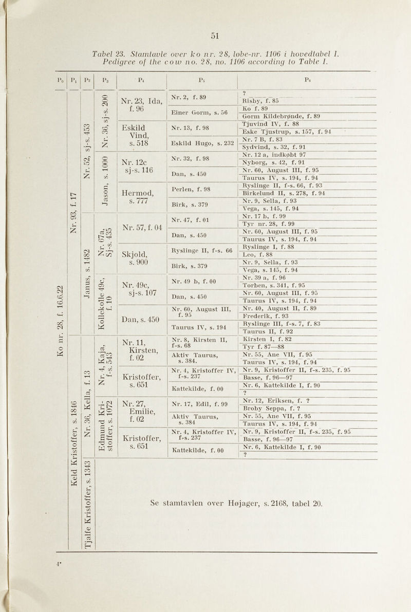 51 Tabel 23. Stamtavle over ko nr. 28, lobe-nr. 1106 i hovedtabel I. Pedigree of the cow no. 28, no. 1106 according io Table I. 4*