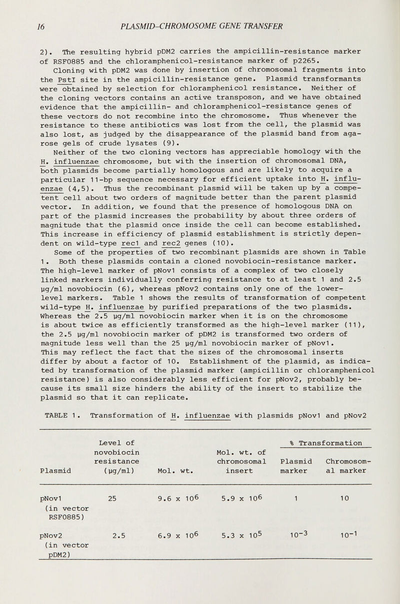 16 PLASMID-CHROMOSOME GENE TRANSFER 2). The resulting hybrid pDM2 carries the ampicillin-resistance marker of RSF0885 and the chloramphenicol-resistance marker of p2265. Cloning with pDM2 was done by insertion of chromosomal fragments into the PstI site in the ampicillin-resistance gene. Plasmid transformants were obtained by selection for chloramphenicol resistance. Neither of the cloning vectors contains an active transposon, and we have obtained evidence that the ampicillin- and chloramphenicol-resistance genes of these vectors do not recombine into the chromosome. Thus whenever the resistance to these antibiotics was lost from the cell, the plasmid was also lost, as judged by the disappearance of the plasmid band from aga¬ rose gels of crude lysates (9). Neither of the two cloning vectors has appreciable homology with the H. influenzae chromosome, but with the insertion of chromosomal DNA, both Plasmids become partially homologous and are likely to acquire a particular 11-bp sequence necessary for efficient uptake into influ- enzae (4,5). Thus the recombinant plasmid will be taken up by a compe¬ tent cell about two orders of magnitude better than the parent plasmid vector. In addition, we found that the presence of homologous DNA on part of the plasmid increases the probability by about three orders of magnitude that the plasmid once inside the cell can become established. This increase in efficiency of plasmid establishment is strictly depen¬ dent on wild-type red and rec2 genes (10). Some of the properties of two recombinant plasmids are shown in Table I. Both these plasmids contain a cloned novobiocin-resistance marker. The high-level marker of pNovl consists of a complex of two closely linked markers individually conferring resistance to at least 1 and 2.5 yg/ml novobiocin (6), whereas pNov2 contains only one of the lower- level markers. Table 1 shows the results of transformation of competent wild-type H. influenzae by purified preparations of the two plasmids. Whereas the 2.5 yg/ml novobiocin marker when it is on the chromosome is about twice as efficiently transformed as the high-level marker (11), the 2.5 yg/ml novobiocin marker of pDM2 is transformed two orders of magnitude less well than the 25 yg/ml novobiocin marker of pNovl. This may reflect the fact that the sizes of the chromosomal inserts differ by about a factor of 10. Establishment of the plasmid, as indica¬ ted by transformation of the plasmid marker (ampicillin or chloramphenicol resistance) is also considerably less efficient for pNov2, probably be¬ cause its small size hinders the ability of the insert to stabilize the plasmid so that it can replicate. TABLE 1. Transformation of H. influenzae with plasmids pNovl and pNov2