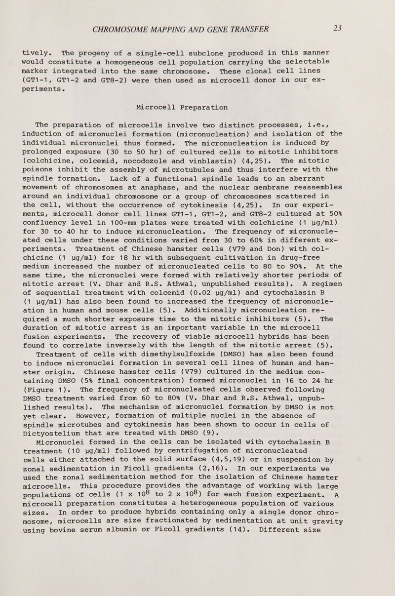CHROMOSOME MAPPING AND GENE TRANSFER 23 tively. The progeny of a single-cell subclone produced in this manner would constitute a homogeneous cell population carrying the selectable marker integrated into the same chromosome. These clonal cell lines (GT1-1, GT1-2 and GT8-2) were then used as microcell donor in our ex¬ periments . Microcell Preparation The preparation of microcells involve two distinct processes, i.e., induction of micronuclei formation (micronucleation) and isolation of the individual micronuclei thus formed. The micronucleation is induced by prolonged exposure (30 to 50 hr) of cultured cells to mitotic inhibitors (colchicine, colcemid, nocodozole and vinblastin) (4,25). The mitotic poisons inhibit the assembly of microtubules and thus interfere with the spindle formation. Lack of a functional spindle leads to an aberrant movement of chromosomes at anaphase, and the nuclear membrane reassembles around an individual chromosome or a group of chromosomes scattered in the cell, without the occurrence of cytokinesis (4,25). In our experi¬ ments, microcell donor cell lines GT1-1, GT1-2, and GT8-2 cultured at 50% confluency level in 100-mm plates were treated with colchicine (1 yg/ml) for 30 to 40 hr to induce micronucleation. The frequency of micronucle- ated cells under these conditions varied from 30 to 60% in different ex¬ periments. Treatment of Chinese hamster cells (V79 and Don) with col¬ chicine (1 yg/ml) for 18 hr with subsequent cultivation in drug-free medium increased the number of micronucleated cells to 80 to 90%. At the same time, the micronuclei were formed with relatively shorter periods of mitotic arrest (V. Dhar and R.S. Athwal, unpublished results). A regimen of sequential treatment with colcemid (0.02 yg/ml) and cytochalasin В (1 yg/ml) has also been found to increased the frequency of micronucle¬ ation in human and mouse cells (5). Additionally micronucleation re¬ quired a much shorter exposure time to the mitotic inhibitors (5). The duration of mitotic arrest is an important variable in the microcell fusion experiments. The recovery of viable microcell hybrids has been found to correlate inversely with the length of the mitotic arrest (5). Treatment of cells with dimethyIsulfoxide (DMSO) has also been found to induce micronuclei formation in several cell lines of human and ham¬ ster origin. Chinese hamster cells (V79) cultured in the medium con¬ taining DMSO (5% final concentration) formed micronuclei in 16 to 24 hr (Figure 1). The frequency of micronucleated cells observed following DMSO treatment varied from 60 to 80% (V. Dhar and R.S. Athwal, unpub¬ lished results). The mechanism of micronuclei formation by DMSO is not yet clear. However, formation of multiple nuclei in the absence of spindle microtubes and cytokinesis has been shown to occur in cells of Dictyostelium that are treated with DMSO (9). Micronuclei formed in the cells can be isolated with cytochalasin В treatment (10 yg/ml) followed by centrifugation of micronucleated cells either attached to the solid surface (4,5,19) or in suspension by zonal sedimentation in Ficoll gradients (2,16). In our experiments we used the zonal sedimentation method for the isolation of Chinese hamster microcells. This procedure provides the advantage of working with large populations of cells (1 x 10Ö to 2 x 10^) for each fusion experiment. A microcell preparation constitutes a heterogeneous population of various sizes. In order to produce hybrids containing only a single donor chro¬ mosome, microcells are size fractionated by sedimentation at unit gravity using bovine serum albumin or Ficoll gradients (14). Different size