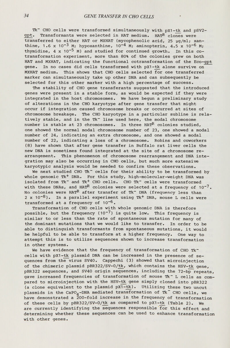 34 GENE TRANSFER IN CHO CELLS 4 Tk~ CHO cells were transformed simultaneously with pX1-tk and pSV2- gpt. Transformants were selected in HAT medium. HAT^ clones were transferred to either HAT or MXHAT (mycophenolic acid, 25 pg/ml; xan¬ thine, 1.6 X 10~3 M; hypoxanthine, 10^ M; aminopterin, 4.5 x 10^ M; thymidine, 4 x 10^ M) and studied for continued growth. In this co- transformation experiment, more than 80% of the colonies grew on both HAT and MXHAT, indicating the functional cotransformation of the Eco-gpt gene. In no cases did cells transformed with pXI-tk alone survive on MXHAT medium. This shows that CHO cells selected for one transferred marker can simultaneously take up other DNA and can subsequently be selected for this other marker with a high percentage of success. The stability of CHO gene transférants suggested that the introduced genes were present in a stable form, as would be expected if they were integrated in the host chromosomes. We have begun a preliminary study of alterations in the CHO karyotype after gene transfer that might occur if integration caused chromosome breaks or occurred at sites of chromosome breakage. The CHO karyotype in a particular subline is rela¬ tively stable, and in the Tk~ line used here, the modal chromosome number is stable at 23 chromosomes. In three HAT^ colonies studied, one showed the normal modal chromosome number of 23, one showed a modal number of 24, indicating an extra chromosome, and one showed a modal number of 22, indicating a loss of a chromosome. Robins and coworkers (8) have shown that after gene transfer in Buffalo rat liver cells the new DNA is sometimes found integrated at the site of a chromosome re¬ arrangement. This phenomenon of chromosome rearrangement and DNA inte¬ gration may also be occurring in CHO cells, but much more extensive karyotypic analysis would be needed to confirm these observations. We next studied CHO Tk~ cells for their ability to be transformed by whole genomic Tk DNA. For this study, high-molecular-weight DNA was isolated from Tk~ and Tk CHO cells. CHO Tk~ cells were transformed with these DNAs, and HAT^ colonies were selected at a frequency of 10^. No colonies were HAT^ after transfer of Tk~ DNA (frequency less than 2 X 10~ö). In a parallel experiment using Tk+ DNA, mouse L cells were transformed at a frequency of 10^. Transformation of CHO cells with whole genomic DNA is therefore possible, but the frequency (10^) is quite low. This frequency is similar to or less than the rate of spontaneous mutation for many of the dominant mutations that we would like to transfer. In order to be able to distinguish transformants from spontaneous mutations, it would be helpful to be able to transform at a higher frequency. One way to attempt this is to utilize sequences shown to increase transformation in other systems. We have evidence that the frequency of transformation of CHO Tk~ cells with pXI-tk plasmid DNA can be increased in the presence of se¬ quences from the virus SV40. Cappechi (3) showed that microinjection of the chimeric plasmid pBR322/SV-0/tk, which contains the HSV-tk gene, pBR322 sequences, and SV40 origin sequences, including the 72-bi^repeats, gave increased frequencies of transformation of mouse Tk~ L cells as com¬ pared to microinjection with the HSV-tk gene simply cloned into pBR322 (a clone equivalent to the plasmid pXI-tk). Utilizing these two uncut Plasmids in the CaPO^-DNA mediated transformation of Tk~ CHO cells, we have demonstrated a 200-fold increase in the frequency of transformation of these cells by pBR322/SV-0/J^ as compared to pXI-tìc (Table 2). We are currently identifying the sequences responsible for this effect and determining whether these sequences can be used to enhance transformation with other genes.
