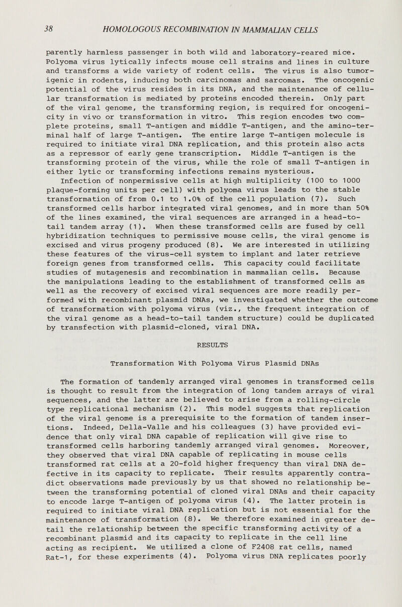 38 HOMOLOGOUS RECOMBINATION IN MAMMALIAN CELLS parently harmless passenger in both wild and laboratory-reared mice. Polyoma virus lytically infects mouse cell strains and lines in culture and transforms a wide variety of rodent cells. The virus is also tumor- igenic in rodents, inducing both carcinomas and sarcomas. The oncogenic potential of the virus resides in its DNA, and the maintenance of cellu¬ lar transformation is mediated by proteins encoded therein. Only part of the viral genome, the transforming region, is required for oncogeni¬ city in vivo or transformation in vitro. This region encodes two com¬ plete proteins, small T-antigen and middle T-antigen, and the amino-ter- minal half of large T-antigen. The entire large T-antigen molecule is required to initiate viral DNA replication, and this protein also acts as a repressor of early gene transcription. Middle T-antigen is the transforming protein of the virus, while the role of small T-antigen in either lytic or transforming infections remains mysterious. Infection of nonpermissive cells at high multiplicity (100 to 1000 plaque-forming units per cell) with polyoma virus leads to the stable transformation of from 0.1 to 1.0% of the cell population (7). Such transformed cells harbor integrated viral genomes, and in more than 50% of the lines examined, the viral sequences are arranged in a head-to- tail tandem array (1). When these transformed cells are fused by cell hybridization techniques to permissive mouse cells, the viral genome is excised and virus progeny produced (8). We are interested in utilizing these features of the virus-cell system to implant and later retrieve foreign genes from transformed cells. This capacity could facilitate studies of mutagenesis and recombination in mammalian cells. Because the manipulations leading to the establishment of transformed cells as well as the recovery of excised viral sequences are more readily per¬ formed with recombinant plasmid DNAs, we investigated whether the outcome of transformation with polyoma virus (viz., the frequent integration of the viral genome as a head-to-tail tandem structure) could be duplicated by transfection with plasmid-cloned, viral DNA. RESULTS Transformation With Polyoma Virus Plasmid DNAs The formation of tandemly arranged viral genomes in transformed cells is thought to result from the integration of long tandem arrays of viral sequences, and the latter are believed to arise from a rolling-circle type replicational mechanism (2). This model suggests that replication of the viral genome is a prerequisite to the formation of tandem inser¬ tions. Indeed, Della-Valle and his colleagues (3) have provided evi¬ dence that only viral DNA capable of replication will give rise to transformed cells harboring tandemly arranged viral genomes. Moreover, they observed that viral DNA capable of replicating in mouse cells transformed rat cells at a 20-fold higher frequency than viral DNA de¬ fective in its capacity to replicate. Their results apparently contra¬ dict observations made previously by us that showed no relationship be¬ tween the transforming potential of cloned viral DNAs and their capacity to encode large T-antigen of polyoma virus (4). The latter protein is required to initiate viral DNA replication but is not essential for the maintenance of transformation (8). We therefore examined in greater de¬ tail the relationship between the specific transforming activity of a recombinant plasmid and its capacity to replicate in the cell line acting as recipient. We utilized a clone of F2408 rat cells, named Rat-1, for these experiments (4). Polyoma virus DNA replicates poorly