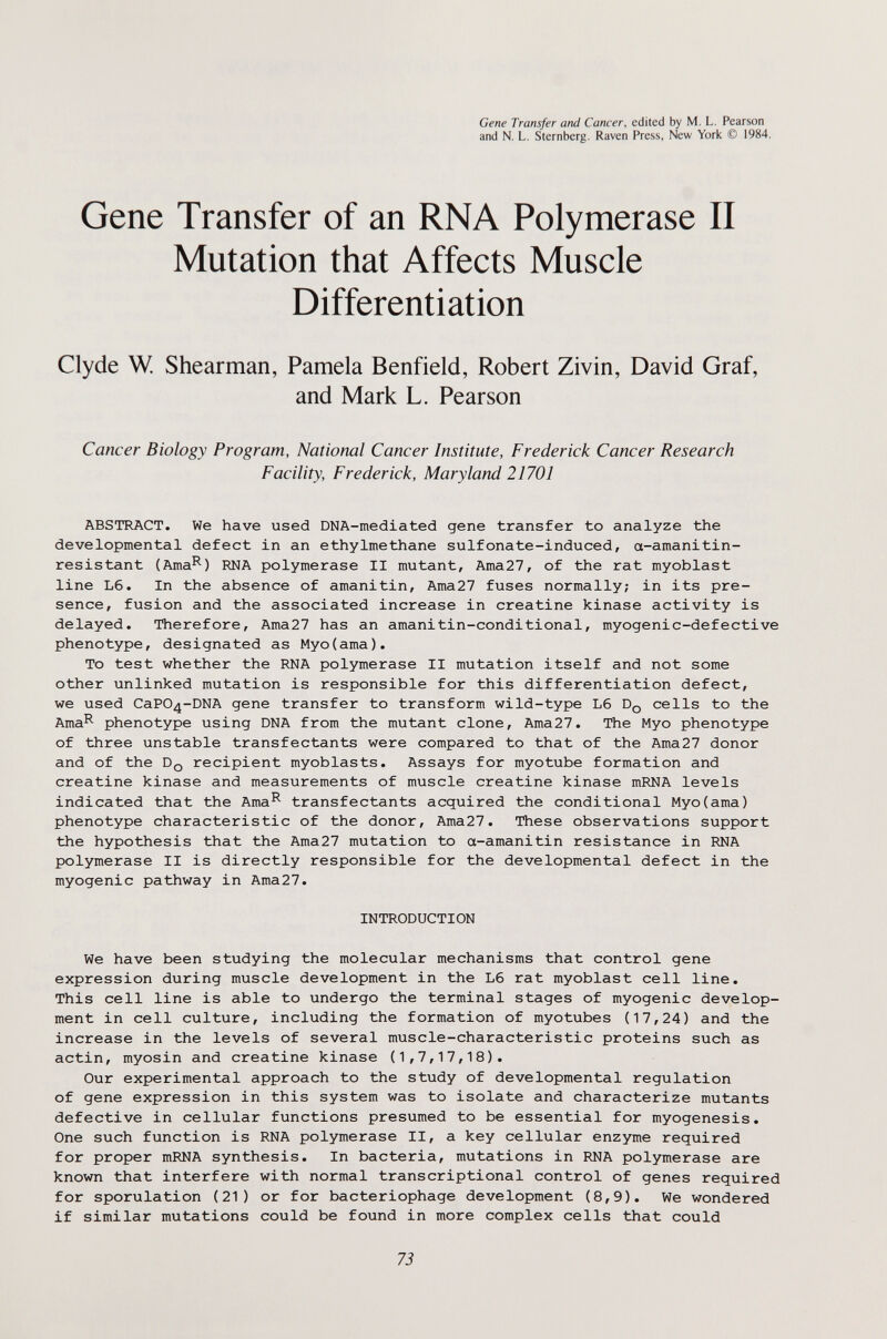 Gene Transfer and Cancer, edited by M. L. Pearson and N. L. Sternberg. Raven Press, New York © 1984. Gene Transfer of an RNA Polymerase II Mutation that Affects Muscle Differentiation Clyde W. Shearman, Pamela Benfield, Robert Zivin, David Graf, and Mark L. Pearson Cancer Biology Program, National Cancer Institute, Frederick Cancer Research Facility, Frederick, Maryland 21701 ABSTRACT. We have used DNA-mediated gene transfer to analyze the developmental defect in an ethylmethane sulfonate-induced, a-amanitin- resistant (Ama^) RNA polymerase II mutant, Ama27, of the rat myoblast line L6. In the absence of amanitin, Ama27 fuses normally; in its pre¬ sence, fusion and the associated increase in creatine kinase activity is delayed. Therefore, Ama27 has an amanitin-conditional, myogenic-defective phenotype, designated as Myo(ama). To test whether the RNA polymerase II mutation itself and not some other unlinked mutation is responsible for this differentiation defect, we used CaP04-DNA gene transfer to transform wild-type L6 Dq cells to the Ama^ phenotype using DNA from the mutant clone, Ama27. The Myo phenotype of three unstable transfectants were compared to that of the Ama27 donor and of the Dq recipient myoblasts. Assays for myotube formation and creatine kinase and measurements of muscle creatine kinase mRNA levels indicated that the Ama^ transfectants acquired the conditional Myo(ama) phenotype characteristic of the donor, Ama27. These observations support the hypothesis that the Ama27 mutation to a-amanitin resistance in RNA polymerase II is directly responsible for the developmental defect in the myogenic pathway in Ama27. INTRODUCTION We have been studying the molecular mechanisms that control gene expression during muscle development in the L6 rat myoblast cell line. This cell line is able to undergo the terminal stages of myogenic develop¬ ment in cell culture, including the formation of myotubes (17,24) and the increase in the levels of several muscle-characteristic proteins such as actin, myosin and creatine kinase (1,7,17,18). Our experimental approach to the study of developmental regulation of gene expression in this system was to isolate and characterize mutants defective in cellular functions presumed to be essential for myogenesis. One such function is RNA polymerase II, a key cellular enzyme required for proper mRNA synthesis. In bacteria, mutations in RNA polymerase are known that interfere with normal transcriptional control of genes required for sporulation (21) or for bacteriophage development (8,9). We wondered if similar mutations could be found in more complex cells that could 73