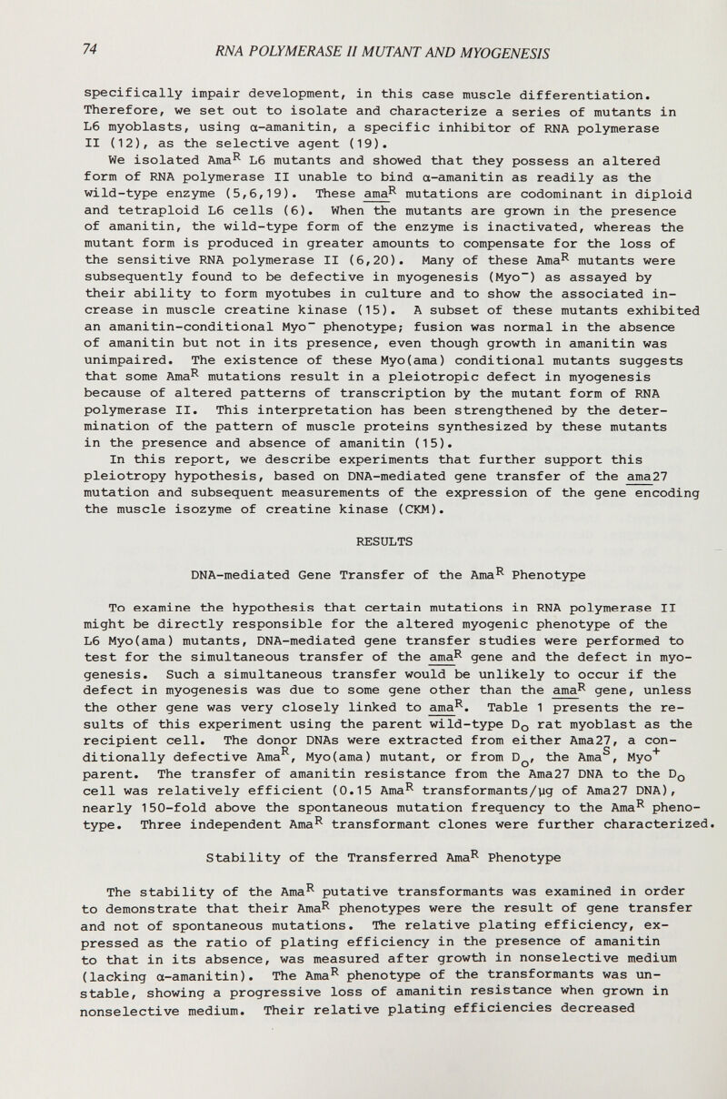74 RNA POLYMERASE II MUTANT AND MYOGENESIS specifically impair development, in this case muscle differentiation. Therefore, we set out to isolate and characterize a series of mutants in L6 myoblasts, using a-amanitin, a specific inhibitor of RNA polymerase II (12), as the selective agent (19). We isolated Ama^ L6 mutants and showed that they possess an altered form of RNA polymerase II unable to bind a-amanitin as readily as the wild-type enzyme (5,6,19). These ama^ mutations are codominant in diploid and tetraploid L6 cells (6). When the mutants are grown in the presence of amanitin, the wild-type form of the enzyme is inactivated, whereas the mutant form is produced in greater amounts to compensate for the loss of the sensitive RNA polymerase II (6,20). Many of these Ama^ mutants were subsequently found to be defective in myogenesis (Myo~) as assayed by their ability to form myotubes in culture and to show the associated in¬ crease in muscle creatine kinase (15). A subset of these mutants exhibited an amanitin-conditional Myo~ phenotype; fusion was normal in the absence of amanitin but not in its presence, even though growth in amanitin was unimpaired. The existence of these Myo(ama) conditional mutants suggests that some Ama^ mutations result in a pleiotropic defect in myogenesis because of altered patterns of transcription by the mutant form of RNA polymerase II. This interpretation has been strengthened by the deter¬ mination of the pattern of muscle proteins synthesized by these mutants in the presence and absence of amanitin (15). In this report, we describe experiments that further support this pleiotropy hypothesis, based on DNA-mediated gene transfer of the ama27 mutation and subsequent measurements of the expression of the gene encoding the muscle isozyme of creatine kinase (CKM). RESULTS DNA-mediated Gene Transfer of the Ama^ Phenotype To examine the hypothesis that certain mutations in RNA polymerase II might be directly responsible for the altered myogenic phenotype of the L6 Myo(ama) mutants, DNA-mediated gene transfer studies were performed to test for the simultaneous transfer of the ama^ gene and the defect in myo¬ genesis. Such a simultaneous transfer would be unlikely to occur if the defect in myogenesis was due to some gene other than the ama^ gene, unless the other gene was very closely linked to ama^. Table 1 presents the re¬ sults of this experiment using the parent wild-type Dq rat myoblast as the recipient cell. The donor DNAs were extracted from either Ama27, a con- R S + ditionally defective Ama , Myo(ama) mutant, or from D^, the Ama , Myo parent. The transfer of amanitin resistance from the Ama27 DNA to the Dq cell was relatively efficient (0.15 Ama^ transformants/yg of Ama27 DNA), nearly 150-fold above the spontaneous mutation frequency to the Ama^ pheno¬ type. Three independent Ama^ transformant clones were further characterized. Stability of the Transferred Ama^ Phenotype The stability of the Ama^ putative transformants was examined in order to demonstrate that their Ama^ phenotypes were the result of gene transfer and not of spontaneous mutations. The relative plating efficiency, ex¬ pressed as the ratio of plating efficiency in the presence of amanitin to that in its absence, was measured after growth in nonselective medium (lacking a-amanitin). The Ama^ phenotype of the transformants was un¬ stable, showing a progressive loss of amanitin resistance when grown in nonselective medium. Their relative plating efficiencies decreased