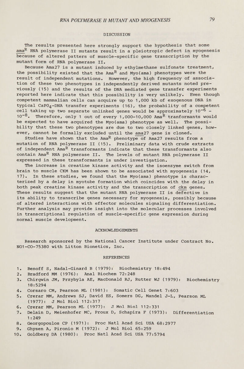 RNA POLYMERASE II MUTANT AND MYOGENESIS 79 DISCUSSION The results presented here strongly support the hypothesis that some ama^ RNA polymerase II mutants result in a pleiotropic defect in myogenesis because of altered patters of muscle-specific gene transcription by the mutant form of RNA polymerase II. Because Ama27 is a mutant induced by ethylmethane sulfonate treatment, the possibility existed that the Ama^ and Myo(ama) phenotypes were the result of independent mutations. However, the high frequency of associa¬ tion of these two phenotypes in independently derived mutants noted pre¬ viously (15) and the results of the DNA mediated gene transfer experiments reported here indicate that this possibility is very unlikely. Even though competent mammalian cells can acquire up to 1,000 kb of exogenous DNA in typical CaP04-DNA transfer experiments (16), the probability of a competent cell taking up two separate unlinked genes would be approximately 10^ - 10~®. Therefore, only 1 out of every 1,000-10,000 Ama^ tranformants would be expected to have acquired the Myo(ama) phenotype as well. The possi¬ bility that these two phenotypes are due to two closely linked genes, how¬ ever, cannot be formally excluded until the ama27 gene is cloned. Studies have shown that the Ama^ phenotype of Ama27 results from a mutation of RNA polymerase II (15). Preliminary data with crude extracts of independent Ama^ transformants indicate that these transformants also contain Ama^ RNA polymerase II. The levels of mutant RNA polymerase II expressed in these transformants is under investigation. The increase in creatine kinase activity and the isoenzyme switch from brain to muscle CKM has been shown to be associated with myogenesis (14, 17). In these studies, we found that the Myo(ama) phenotype is charac¬ terized by a delay in myotube formation which coincides with the delay in both peak creatine kinase activity and the transcription of ckm genes. These results suggest that the mutant RNA polymerase II is defective in its ability to transcribe genes necessary for myogenesis, possibly because of altered interactions with effector molecules signaling differentiation. Further analysis may provide insight into the molecular processes involved in transcriptional regulation of muscle-specific gene expression during normal muscle development. ACKNOWLEDGEMENTS Research sponsored by the National Cancer Institute under Contract No. NO1-CO-75380 with Litton Bionetics, Inc. REFERENCES 1. Benoff S, Nadal-Ginard В (1979): Biochemistry 18:494 2. Bradford MM (1976): Anal Biochem 72:248 3. Chirgwin JM, Przybyla AE, MacDonald RJ, Rutter WJ (1979): Biochemistry 18:5294 4. Corsaro CM, Pearson ML (1981): Somatic Cell Genet 7:603 5. Crerar MM, Andrews SJ, David ES, Somers DG, Mandel J-L, Pearson ML (1977): J Mol Biol 112:317 6. Crerar MM, Pearson ML (1977): J Mol Biol 112:331 7. Delain D, Meienhofer MC, Proux D, Schapira F (1973): Differentiation 1 : 249 8. Georgopoulos CP (1971): Proc Natl Acad Sci USA 68:2977 9. Ghysen A, Pironio M (1972): J Mol Biol 65:259 10. Goldberg DA (1980): Proc Natl Acad Sci USA 77:5794