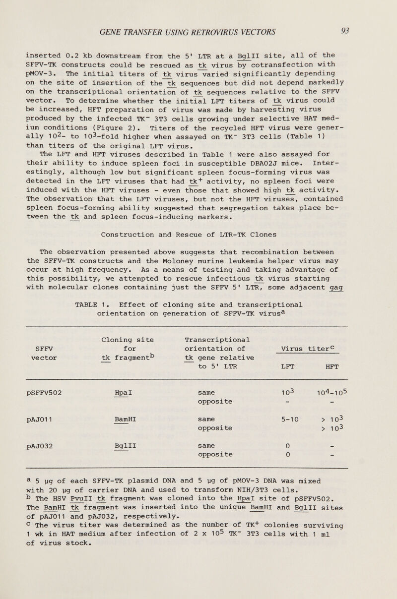 GENE TRANSFER USING RETROVIRUS VECTORS 93 inserted 0.2 kb downstream from the 5' LTR at a Bglll site, all of the SFFV-TK constructs could be rescued as tk virus by cotransfection with pMOV-3. The initial titers of tk virus varied significantly depending on the site of insertion of the tk sequences but did not depend markedly on the transcriptional orientation of tk sequences relative to the SFFV vector. To determine whether the initial LFT titers of tìc virus could be increased, HFT preparation of virus was made by harvesting virus produced by the infected TK~ 3T3 cells growing under selective HAT med¬ ium conditions (Figure 2). Titers of the recycled HFT virus were gener¬ ally 102- to lO^-fold higher when assayed on TK~ 3T3 cells (Table 1) than titers of the original LFT virus. The LFT and HFT viruses described in Table 1 were also assayed for their ability to induce spleen foci in susceptible DBA02J mice. Inter¬ estingly, although low but significant spleen focus-forming virus was detected in the LFT viruses that had tk* activity, no spleen foci were induced with the HFT viruses - even those that showed high tìc activity. The observation- that the LFT viruses, but not the HFT viruses, contained spleen focus-forming ability suggested that segregation takes place be¬ tween the and spleen focus-inducing markers. Construction and Rescue of LTR-TK Clones The observation presented above suggests that recombination between the SFFV-TK constructs and the Moloney murine leiikemia helper virus may occur at high frequency. As a means of testing and taking advantage of this possibility, we attempted to rescue infectious tk virus starting with molecular clones containing just the SFFV 5' LTR, some adjacent gag TABLE 1. Effect of cloning site and transcriptional orientation on generation of SFFV-TK virus^ ® 5 yg of each SFFV-TK plasmid DNA and 5 yg of pMOV-3 DNA was mixed with 20 yg of carrier DNA and used to transform NIH/3T3 cells. Ь The HSV PvuII tk fragment was cloned into the Hpal site of pSFFV502. The BamHI tk fragment was inserted into the unique BamHI and Bglll sites of pAJOII and pAJ032, respectively. ^ The virus titer was determined as the number of TK* colonies surviving 1 wk in HAT medium after infection of 2 x 10^ TK~ 3T3 cells with 1 ml of virus stock.
