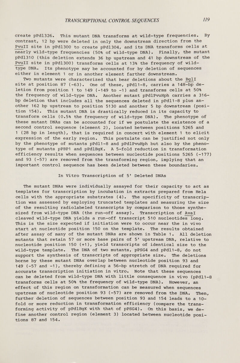 TRANSCRIPTIONAL CONTROL SEQUENCES 119 create pPdl326. This mutant DNA transforms at wild-type frequencies. By contrast, 12 bp were deleted in only the downstream direction from the PvuII site in pPdl300 to create pPdl304, and its DNA transforms cells at nearly wild-type frequencies (50% of wild-type DNA). Finally, the mutant pPdlBIO (this deletion extends 36 bp upstream and 41 bp downstream of the PvuII site in pPdl300) transforms cells at 13% the frequency of wild- type DNA. Its phenotype may be accounted for by deletion of sequences either in element 1 or in another element farther downstream. Two mutants were characterized that bear deletions about the Bgll site at position 87 (-63). One of these, pPdl1-8, carries a 148-bp de¬ letion from position 1 to 149 (-149 to -1) and transforms cells at 50% the frequency of wild-type DNA. Another mutant pPdlPvuHph carries a 316- bp deletion that includes all the sequences deleted in pPdl1-8 plus an¬ other 162 bp upstream to position 5130 and another 5 bp downstream (posi¬ tion 154). This mutant DNA is drastically reduced in its capacity to transform cells (0.5% the frequency of wild-type DNA). The phenotype of these mutant DNAs can be accounted for if we postulate the existence of a second control sequence (element 2), located between positions 5265 and 1 (28 bp in length), that is required in concert with element 1 to elicit expression of the early region. This postulate can be justified not only by the phenotype of mutants pPdl1-8 and pPdlPvuHph but also by the pheno¬ type of mutants pPBPI and pPdlBgK. A 5-fold reduction in transformation efficiency results when sequences between nucleotide positions 5265 (-177) and 93 (-57) are removed from the transforming region, implying that an important control sequence has been deleted between these boundaries. In Vitro Transcription of 5' Deleted DNAs The mutant DNAs were individually assayed for their capacity to act as templates for transcription by incubation in extracts prepared from Hela cells with the appropriate substrates (4). The specificity of transcrip¬ tion was assessed by employing truncated templates and measuring the size of the resulting radiolabeled transcripts by comparison to those synthe¬ sized from wild-type DNA (the run-off assay). Transcription of Aval cleaved wild-type DNA yields a run-off transcript 510 nucleotides long. This is the size expected if initiation were to occur near the in vivo start at nucleotide position 150 on the template. The results obtained after assay of many of the mutant DNAs are shown in Table 1. All deletion mutants that retain 57 or more base pairs of 5' upstream DNA, relative to nucleotide position 150 (+1), yield transcripts of identical size to the wild-type template. The DNA of two mutants, pPSG4 and pPdl1-8, do not support the synthesis of transcripts of appropriate size. The deletions borne by these mutant DNAs overlap between nucleotide position 93 and 149 (-57 and -1), thereby defining a 56-bp stretch of DNA required for accurate transcription initiation in vitro. Note that these sequences can be deleted from wild-type DNA with little consequence in vivo (pPdl1-8 transforms cells at 50% the frequency of wild-type DNA). However, an effect of this region on transformation can be measured when sequences upstream of nucleotide position 93 (-57) are removed from the DNA. Then, further deletion of sequences between position 93 and 154 leads to a 10- fold or more reduction in transformation efficiency (compare the trans¬ forming activity of pPdlBgK with that of pPSG4). On this basis, we de¬ fine another control region (element 3) located between nucleotide posi¬ tions 87 and 154.