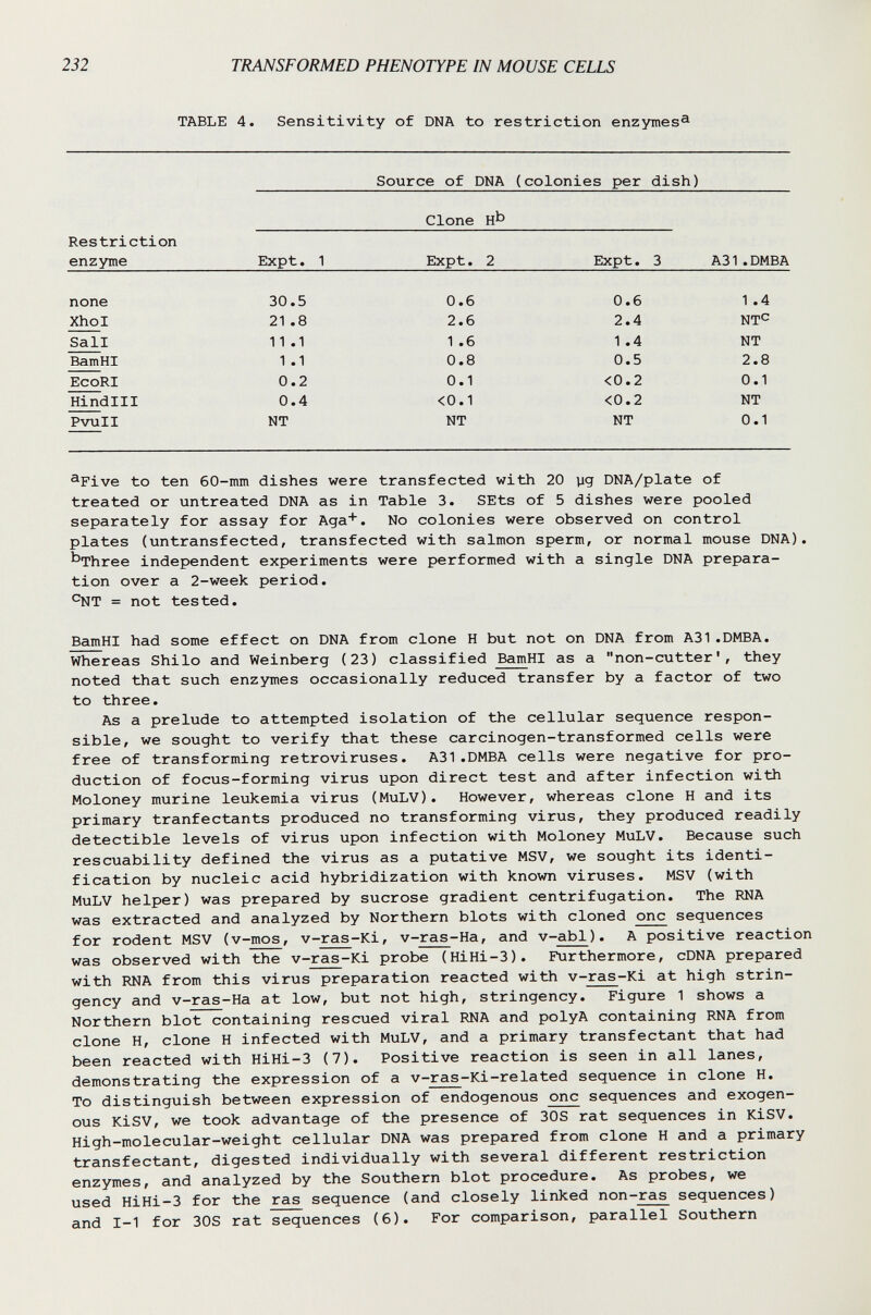 232 TRANSFORMED PHENOTYPE IN MOUSE CELLS TABLE 4. Sensitivity of DNA to restriction enzymes^ Source of DNA (colonies per dish) Clone нЬ Restriction ^Five to ten 60-mm dishes were transfected with 20 yg DNA/plate of treated or untreated DNA as in Table 3. SEts of 5 dishes were pooled separately for assay for Aga!. No colonies were observed on control plates (untransfected, transfected with salmon sperm, or normal mouse DNA). ^'Three independent experiments were performed with a single DNA prepara¬ tion over a 2-week period. *^NT = not tested. BamHI had some effect on DNA from clone H but not on DNA from A31.DMBA. Whereas Shilo and Weinberg (23) classified BamHI as a non-cutter*, they noted that such enzymes occasionally reduced transfer by a factor of two to three. As a prelude to attempted isolation of the cellular sequence respon¬ sible, we sought to verify that these carcinogen-transformed cells were free of transforming retroviruses. A31.DMBA cells were negative for pro¬ duction of focus-forming virus upon direct test and after infection with Moloney murine leukemia virus (MuLV). However, whereas clone H and its primary tranfectants produced no transforming virus, they produced readily detectible levels of virus upon infection with Moloney MuLV. Because such rescuability defined the virus as a putative MSV, we sought its identi¬ fication by nucleic acid hybridization with known viruses. MSV (with MuLV helper) was prepared by sucrose gradient centrifugation. The RNA was extracted and analyzed by Northern blots with cloned one sequences for rodent MSV (v-mos, v-ras-Ki, v-ras-Ha, and v-abl). A positive reaction was observed with the v-ras-Ki probe (HiHi-3). Furthermore, cDNA prepared with RNA from this virus preparation reacted with v-ras-Ki at high strin¬ gency and v-ras-Ha at low, but not high, stringency. Figure 1 shows a Northern blot containing rescued viral RNA and polyA containing RNA from clone H, clone H infected with MuLV, and a primary transfectant that had been reacted with HiHi-3 (7). Positive reaction is seen in all lanes, demonstrating the expression of a v-ras-Ki-related sequence in clone H. To distinguish between expression of endogenous one sequences and exogen¬ ous KiSV, we took advantage of the presence of 30S rat sequences in KiSV. High-molecular-weight cellular DNA was prepared from clone H and a primary transfectant, digested individually with several different restriction enzymes, and analyzed by the Southern blot procedure. As probes, we used HiHi-3 for the ras sequence (and closely linked non-ras sequences) and 1-1 for 30S rat sequences (6). For comparison, parallel Southern