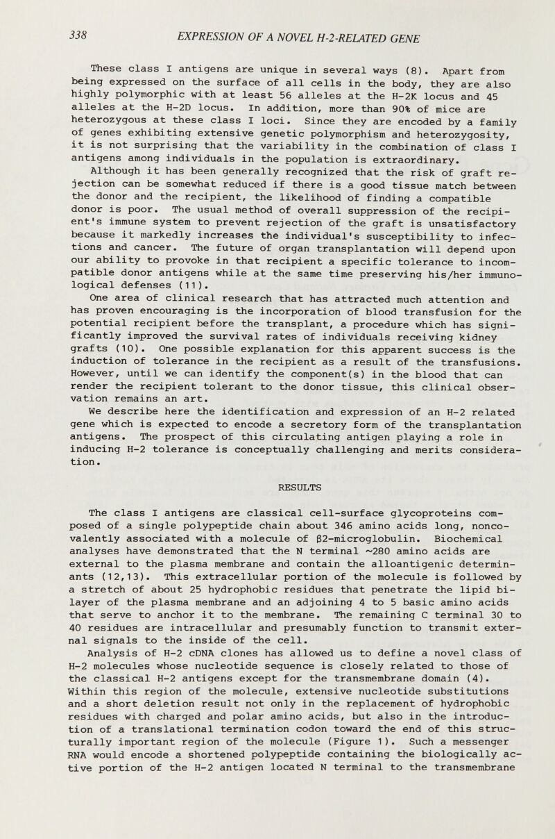 338 EXPRESSION OF A NOVEL H-2-RELATED GENE These class I antigens are unique in several ways (8). Apart from being expressed on the surface of all cells in the body, they are also highly polymorphic with at least 56 alleles at the H-2K locus and 45 alleles at the H-2D locus. In addition, more than 90% of mice are heterozygous at these class I loci. Since they are encoded by a family of genes exhibiting extensive genetic polymorphism and heterozygosity, it is not surprising that the variability in the combination of class I antigens among individuals in the population is extraordinary. Although it has been generally recognized that the risk of graft re¬ jection can be somewhat reduced if there is a good tissue match between the donor and the recipient, the likelihood of finding a compatible donor is poor. The usual method of overall suppression of the recipi¬ ent's immune system to prevent rejection of the graft is unsatisfactory because it markedly increases the individual's susceptibility to infec¬ tions and cancer. The future of organ transplantation will depend upon our ability to provoke in that recipient a specific tolerance to incom¬ patible donor antigens while at the same time preserving his/her immuno¬ logical defenses (11). One area of clinical research that has attracted much attention and has proven encouraging is the incorporation of blood transfusion for the potential recipient before the transplant, a procedure which has signi¬ ficantly improved the survival rates of individuals receiving kidney grafts (10). One possible explanation for this apparent success is the induction of tolerance in the recipient as a result of the transfusions. However, until we can identify the component(s) in the blood that can render the recipient tolerant to the donor tissue, this clinical obser¬ vation remains an art. We describe here the identification and expression of an H-2 related gene which is expected to encode a secretory form of the transplantation antigens. The prospect of this circulating antigen playing a role in / inducing H-2 tolerance is conceptually challenging and merits considera¬ tion. RESULTS The class I antigens are classical cell-surface glycoproteins com¬ posed of a single polypeptide chain about 346 amino acids long, nonco- valently associated with a molecule of ß2-microglobulin. Biochemical analyses have demonstrated that the N terminal ~280 amino acids are external to the plasma membrane and contain the alloantigenic determin¬ ants (12,13). This extracellular portion of the molecule is followed by a stretch of about 25 hydrophobic residues that penetrate the lipid bi- layer of the plasma membrane and an adjoining 4 to 5 basic amino acids that serve to anchor it to the membrane. The remaining С terminal 30 to 40 residues are intracellular and presumably function to transmit exter¬ nal signals to the inside of the cell. Analysis of H-2 cDNA clones has allowed us to define a novel class of H-2 molecules whose nucleotide sequence is closely related to those of the classical H-2 antigens except for the transmembrane domain (4). Within this region of the molecule, extensive nucleotide substitutions and a short deletion result not only in the replacement of hydrophobic residues with charged and polar amino acids, but also in the introduc¬ tion of a translational termination codon toward the end of this struc¬ turally important region of the molecule (Figure 1). Such a messenger RNA would encode a shortened polypeptide containing the biologically ac¬ tive portion of the H-2 antigen located N terminal to the transmembrane