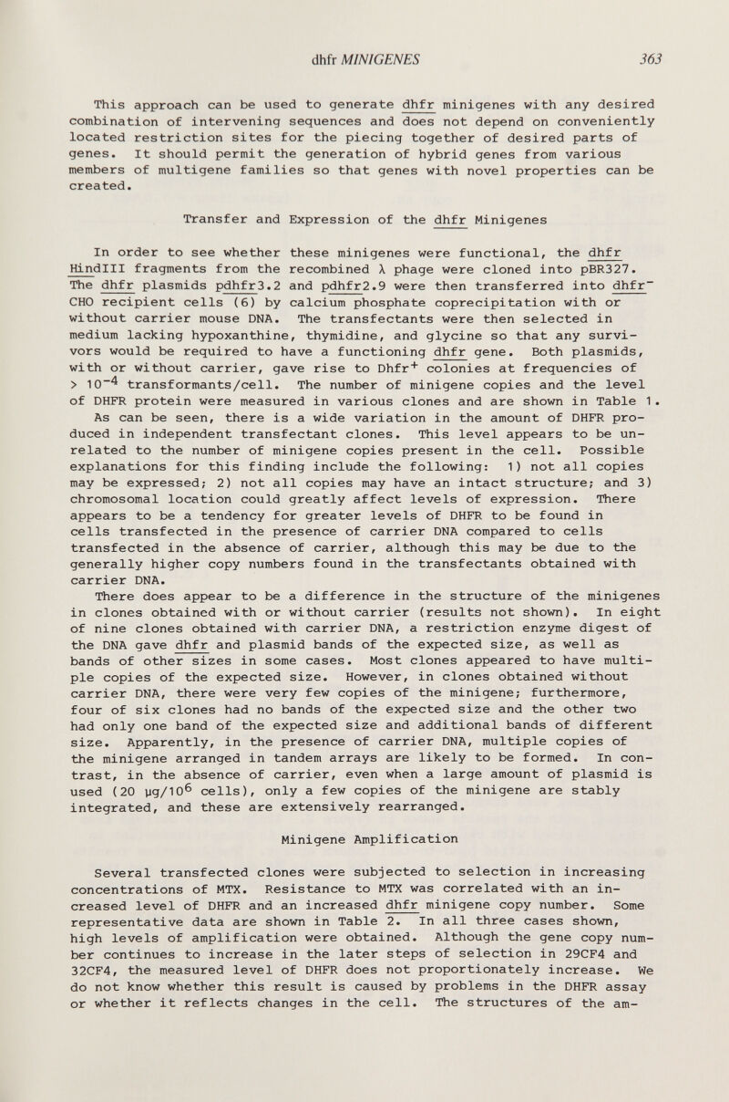 dhfr MINIGENES 363 This approach can be used to generate dhfr minigenes with any desired combination of intervening sequences and does not depend on conveniently located restriction sites for the piecing together of desired parts of genes. It should permit the generation of hybrid genes from various members of multigene families so that genes with novel properties can be created. Transfer and Expression of the dhfr Minigenes In order to see whether these minigenes were functional, the dhfr Hindlll fragments from the recombined X phage were cloned into pBR327. The dhfr plasmids pdhfr3.2 and pdhfr2«9 were then transferred into dhfr~ CHO recipient cells (6) by calcium phosphate coprecipitation with or without carrier mouse DNA. The transfectants were then selected in medium lacking hypoxanthine, thymidine, and glycine so that any survi¬ vors would be required to have a functioning dhfr gene. Both plasmids, with or without carrier, gave rise to Dhfr' colonies at frequencies of > transformants/cell. The number of minigene copies and the level of DHFR protein were measured in various clones and are shown in Table 1. As can be seen, there is a wide variation in the amount of DHFR pro¬ duced in independent transfectant clones. This level appears to be un¬ related to the number of minigene copies present in the cell. Possible explanations for this finding include the following: 1) not all copies may be expressed; 2) not all copies may have an intact structure; and 3) chromosomal location could greatly affect levels of expression. There appears to be a tendency for greater levels of DHFR to be found in cells transfected in the presence of carrier DNA compared to cells transfected in the absence of carrier, although this may be due to the generally higher copy numbers found in the transfectants obtained with carrier DNA. There does appear to be a difference in the structure of the minigenes in clones obtained with or without carrier (results not shown). In eight of nine clones obtained with carrier DNA, a restriction enzyme digest of the DNA gave dhfr and plasmid bands of the expected size, as well as bands of other sizes in some cases. Most clones appeared to have multi¬ ple copies of the expected size. However, in clones obtained without carrier DNA, there were very few copies of the minigene; furthermore, four of six clones had no bands of the expected size and the other two had only one band of the expected size and additional bands of different size. Apparently, in the presence of carrier DNA, multiple copies of the minigene arranged in tandem arrays are likely to be formed. In con¬ trast, in the absence of carrier, even when a large amount of plasmid is used (20 yg/10^ cells), only a few copies of the minigene are stably integrated, and these are extensively rearranged. Minigene Amplification Several transfected clones were subjected to selection in increasing concentrations of MTX. Resistance to MTX was correlated with an in¬ creased level of DHFR and an increased dhfr minigene copy number. Some representative data are shown in Table 2. In all three cases shown, high levels of amplification were obtained. Although the gene copy num¬ ber continues to increase in the later steps of selection in 29CF4 and 32CF4, the measured level of DHFR does not proportionately increase. We do not know whether this result is caused by problems in the DHFR assay or whether it reflects changes in the cell. The structures of the am-