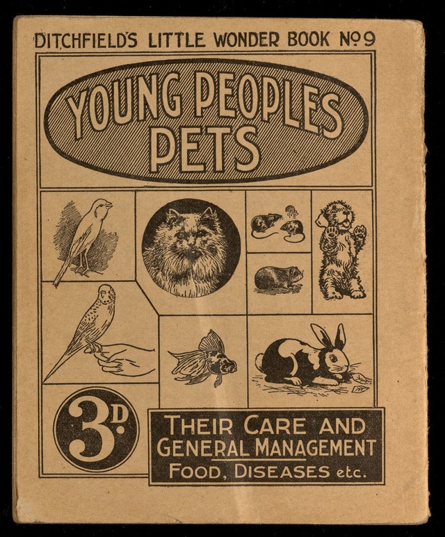 No text description is available for this image