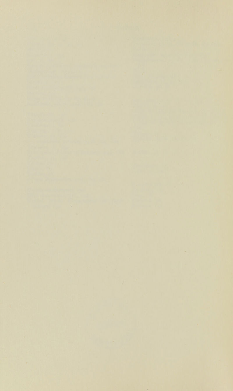 * f ' Д ri^ . ^ ' I élÁwfí' •■ ^f^îf*?#''^! •»>.АЖ^. .Д^ЖЖ# ^Ё^л1-М' -тш :к^ШШ  ^ Í .• ,%гф ■lSWlu'.i^iSi%-i.„i^;ïn^^ fc^iä^Ä^VsÄ'r'-ti« ' - Л>' '•   - ^ î-%«r^è; J^Sis^ р:^Ш4^т^т) UL'^w*^í-*'ií *î^ i. ' 4' ^ £л jir* * ' ■ ■^•rl ^ '¿J 'J^rjü' V-^^i p •tí: