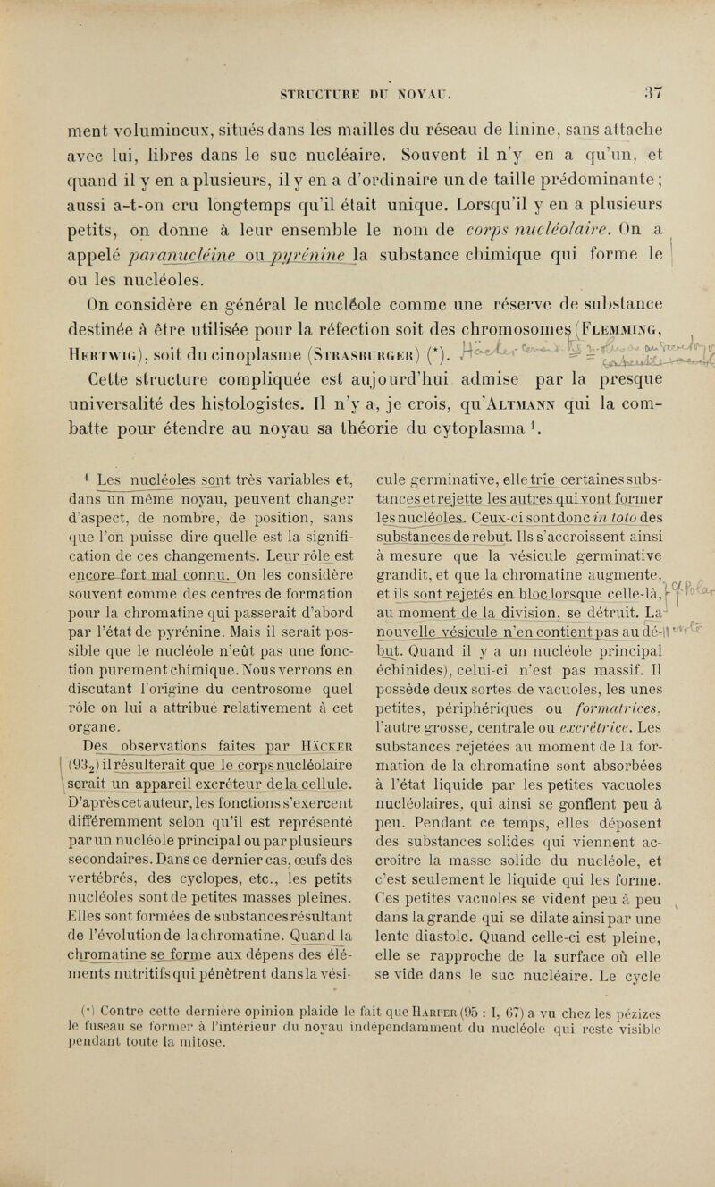 structure du noyau. 37 ment volumineux, situés dans les mailles du réseau de linine, sans attache avec lui, libres dans le suc nucléaire. Souvent il n'y en a qu'un, et quand il y en a plusieurs, il y en a d'ordinaire un de taille prédominante ; aussi a-t-on cru longtemps qu'il était unique. Lorsqu'il y en a plusieurs petits, on donne à leur ensemble le nom de corps nucUolaire. On a appelé paramidéine ou pyrjjiine la substance chimique qui forme le | ou les nucléoles. On considère en général le nucléole comme une réserve de substance destinée à être utilisée pour la réfection soit des chromosome^ (Flem3Ung, Hkrtwig), soit ducinoplasme (Strasburgek) (*). Cette structure compliquée est aujourd'hui admise par la presque universalité des histologistes. Il n'y a, je crois, qu'AuTMANN qui la com¬ batte pour étendre au noyau sa théorie du cytoplasma ^. < Les nucléoles sont très variables et, dansun même noyau, peuvent changer d'aspect, de nombre, de position, sans que l'on puisse dire quelle est la signifi¬ cation de ces changements. Leur rôle est enxLore-iari mal connib On les considère souvent comme des centres de formation pour la chromatine qui passerait d'abord par l'état de pyrénine. Mais il serait pos¬ sible que le nucléole n'eût pas une fonc¬ tion purement chimique. Nous verrons en discutant l'origine du centrosome quel rôle on lui a attribué relativement à cet organe. Des ojDservations faites par Hacker (932) il résulterait que le corps nucléolaire 1 serait un appareil excréteur delà cellule. D'après cet auteur, les fonctions s'exercent différemment selon qu'il est représenté par un nucléole principal ou par plusieurs secondaires. Dans ce dernier cas, œufs des vertébrés, des cyclopes, etc., les petits nucléoles sont de petites masses pleines. Elles sont formées de substances résultant de l'évolution de lachromatine. ^land la chromatine se^forme aux dépens des élé¬ ments nutritifs qui pénètrent dans la vési¬ cule germinative, ellejrie certaines subs- tancesetrejette les autres qulvontformer les nucléoles. Ceux-ci sont donc гп toto des substances de rebut. Ils s'accroissent ainsi à mesure que la vésicule germinative grandit, et que la chromatine augmente, ^ et ils sont rejetés.en bloc lorsque celle-là, au moment de la division, se détruit. La nouvelle vésicule n'en contient pas au_dé-li but. Quand il y a un nucléole principal échinides), celui-ci n'est pas massif. Il possède deux sortes de vacuoles, les unes petites, périphériques ou formatrices, l'autre grosse, centrale ou excrétrice. Les substances rejetées au moment de la for¬ mation de la chromatine sont absorbées à l'état liquide par les petites vacuoles nucléolaires, qui ainsi se gonflent peu à peu. Pendant ce temps, elles déposent des substances solides qui viennent ac¬ croître la masse solide du nucléole, et c'est seulement le liquide qui les forme. Ces petites vacuoles se vident peu à peu dans la grande qui se dilate ainsi par une lente diastole. Quand celle-ci est pleine, elle se rapproche de la surface où elle se vide dans le suc nucléaire. Le cycle (*1 Contre cette dernière opinion plaide le fait que Harper (95 : I, 07) a vu chez les i)ézizes le fuseau se former à l'intérieur du noyau indépendamment du nucléole qui reste visible pendant toute la mitose.