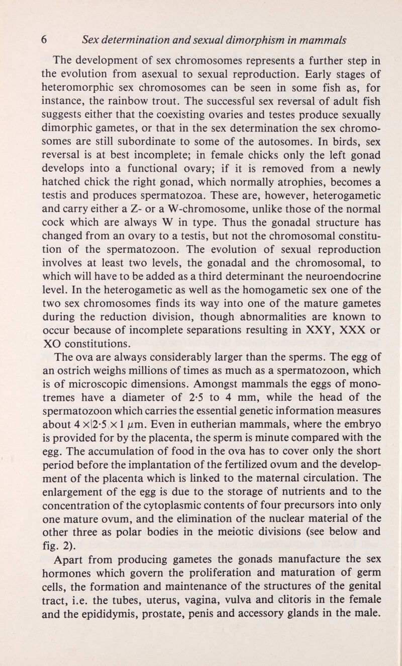 6 Sex determination and sexual dimorphism in mammals The development of sex chromosomes represents a further step in the evolution from asexual to sexual reproduction. Early stages of heteromorphic sex chromosomes can be seen in some fish as, for instance, the rainbow trout. The successful sex reversal of adult fish suggests either that the coexisting ovaries and testes produce sexually dimorphic gametes, or that in the sex determination the sex chromo¬ somes are still subordinate to some of the autosomes. In birds, sex reversal is at best incomplete; in female chicks only the left gonad develops into a functional ovary; if it is removed from a newly hatched chick the right gonad, which normally atrophies, becomes a testis and produces spermatozoa. These are, however, heterogametic and carry either a Z- or a W-chromosome, unlike those of the normal cock which are always W in type. Thus the gonadal structure has changed from an ovary to a testis, but not the chromosomal constitu¬ tion of the spermatozoon. The evolution of sexual reproduction involves at least two levels, the gonadal and the chromosomal, to which will have to be added as a third determinant the neuroendocrine level. In the heterogametic as well as the homogametic sex one of the two sex chromosomes finds its way into one of the mature gametes during the reduction division, though abnormalities are known to occur because of incomplete separations resulting in XXY, XXX or XO constitutions. The ova are always considerably larger than the sperms. The egg of an ostrich weighs millions of times as much as a spermatozoon, which is of microscopic dimensions. Amongst mammals the eggs of mono- tremes have a diameter of 2*5 to 4 mm, while the head of the spermatozoon which carries the essential genetic information measures about 4 xl2-5 X 1 jum. Even in eutherian mammals, where the embryo is provided for by the placenta, the sperm is minute compared with the egg. The accumulation of food in the ova has to cover only the short period before the implantation of the fertilized ovum and the develop¬ ment of the placenta which is linked to the maternal circulation. The enlargement of the egg is due to the storage of nutrients and to the concentration of the cytoplasmic contents of four precursors into only one mature ovum, and the elimination of the nuclear material of the other three as polar bodies in the meiotic divisions (see below and fig. 2). Apart from producing gametes the gonads manufacture the sex hormones which govern the proliferation and maturation of germ cells, the formation and maintenance of the structures of the genital tract, i.e. the tubes, uterus, vagina, vulva and clitoris in the female and the epididymis, prostate, penis and accessory glands in the male.