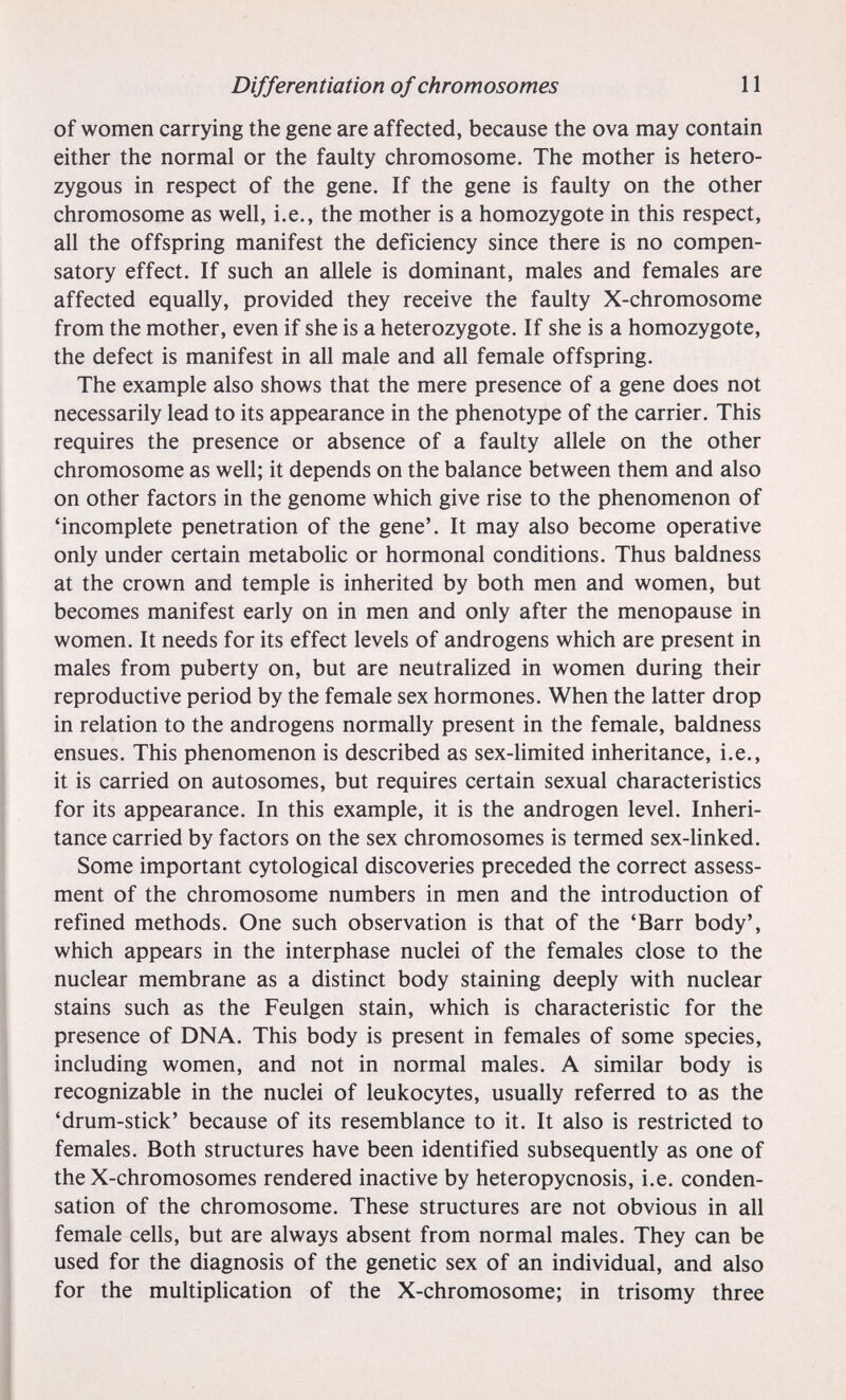 Differentiation of chromosomes 11 of women carrying the gene are affected, because the ova may contain either the normal or the faulty chromosome. The mother is hetero¬ zygous in respect of the gene. If the gene is faulty on the other chromosome as well, i.e., the mother is a homozygote in this respect, all the offspring manifest the deficiency since there is no compen¬ satory effect. If such an allele is dominant, males and females are affected equally, provided they receive the faulty X-chromosome from the mother, even if she is a heterozygote. If she is a homozygote, the defect is manifest in all male and all female offspring. The example also shows that the mere presence of a gene does not necessarily lead to its appearance in the phenotype of the carrier. This requires the presence or absence of a faulty allele on the other chromosome as well; it depends on the balance between them and also on other factors in the genome which give rise to the phenomenon of 'incomplete penetration of the gene'. It may also become operative only under certain metabolic or hormonal conditions. Thus baldness at the crown and temple is inherited by both men and women, but becomes manifest early on in men and only after the menopause in women. It needs for its effect levels of androgens which are present in males from puberty on, but are neutralized in women during their reproductive period by the female sex hormones. When the latter drop in relation to the androgens normally present in the female, baldness ensues. This phenomenon is described as sex-limited inheritance, i.e., it is carried on autosomes, but requires certain sexual characteristics for its appearance. In this example, it is the androgen level. Inheri¬ tance carried by factors on the sex chromosomes is termed sex-linked. Some important cytological discoveries preceded the correct assess¬ ment of the chromosome numbers in men and the introduction of refined methods. One such observation is that of the 'Barr body', which appears in the interphase nuclei of the females close to the nuclear membrane as a distinct body staining deeply with nuclear stains such as the Feulgen stain, which is characteristic for the presence of DNA. This body is present in females of some species, including women, and not in normal males. A similar body is recognizable in the nuclei of leukocytes, usually referred to as the 'drum-stick' because of its resemblance to it. It also is restricted to females. Both structures have been identified subsequently as one of the X-chromosomes rendered inactive by heteropycnosis, i.e. conden¬ sation of the chromosome. These structures are not obvious in all female cells, but are always absent from normal males. They can be used for the diagnosis of the genetic sex of an individual, and also for the multiplication of the X-chromosome; in trisomy three