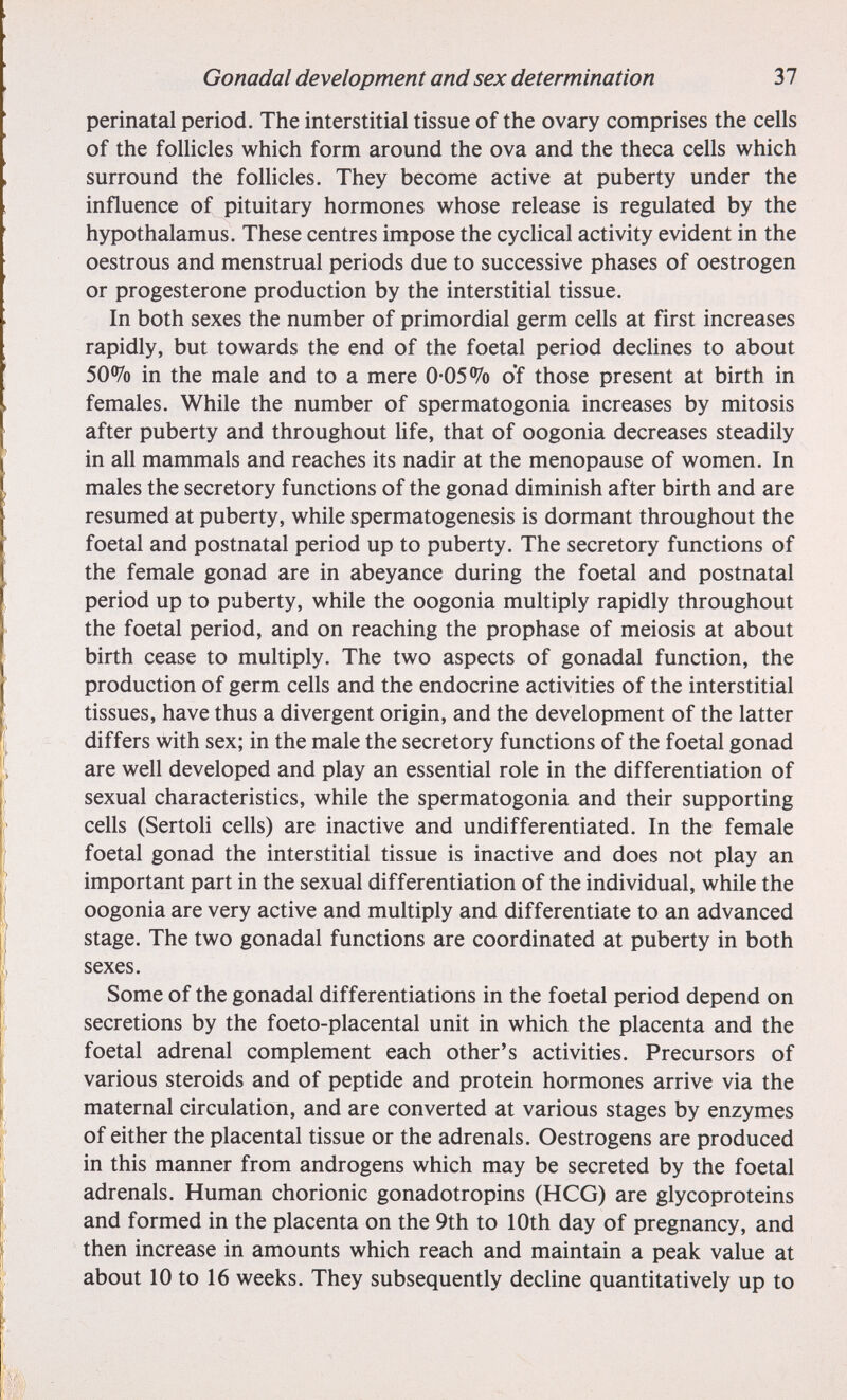 Gonadal development and sex determination Ъ1 perinatal period. The interstitial tissue of the ovary comprises the cells of the follicles which form around the ova and the theca cells which surround the follicles. They become active at puberty under the influence of pituitary hormones whose release is regulated by the hypothalamus. These centres impose the cyclical activity evident in the oestrous and menstrual periods due to successive phases of oestrogen or progesterone production by the interstitial tissue. In both sexes the number of primordial germ cells at first increases rapidly, but towards the end of the foetal period declines to about 50% in the male and to a mere 0-05% o'f those present at birth in females. While the number of spermatogonia increases by mitosis after puberty and throughout hfe, that of oogonia decreases steadily in all mammals and reaches its nadir at the menopause of women. In males the secretory functions of the gonad diminish after birth and are resumed at puberty, while spermatogenesis is dormant throughout the foetal and postnatal period up to puberty. The secretory functions of the female gonad are in abeyance during the foetal and postnatal period up to puberty, while the oogonia multiply rapidly throughout the foetal period, and on reaching the prophase of meiosis at about birth cease to multiply. The two aspects of gonadal function, the production of germ cells and the endocrine activities of the interstitial tissues, have thus a divergent origin, and the development of the latter differs with sex; in the male the secretory functions of the foetal gonad are well developed and play an essential role in the differentiation of sexual characteristics, while the spermatogonia and their supporting cells (Sertoli cells) are inactive and undifferentiated. In the female foetal gonad the interstitial tissue is inactive and does not play an important part in the sexual differentiation of the individual, while the oogonia are very active and multiply and differentiate to an advanced stage. The two gonadal functions are coordinated at puberty in both sexes. Some of the gonadal differentiations in the foetal period depend on secretions by the foeto-placental unit in which the placenta and the foetal adrenal complement each other's activities. Precursors of various steroids and of peptide and protein hormones arrive via the maternal circulation, and are converted at various stages by enzymes of either the placental tissue or the adrenals. Oestrogens are produced in this manner from androgens which may be secreted by the foetal adrenals. Human chorionic gonadotropins (HCG) are glycoproteins and formed in the placenta on the 9th to 10th day of pregnancy, and then increase in amounts which reach and maintain a peak value at about 10 to 16 weeks. They subsequently decUne quantitatively up to