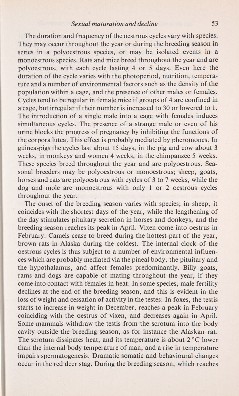 Sexual maturation and decline 53 The duration and frequency of the oestrous cycles vary with species. They may occur throughout the year or during the breeding season in series in a polyoestrous species, or may be isolated events in a monoestrous species. Rats and mice breed throughout the year and are polyoestrous, with each cycle lasting 4 or 5 days. Even here the duration of the cycle varies with the photoperiod, nutrition, tempera¬ ture and a number of environmental factors such as the density of the population within a cage, and the presence of other males or females. Cycles tend to be regular in female mice if groups of 4 are confined in a cage, but irregular if their number is increased to 30 or lowered to 1. The introduction of a single male into a cage with females induces simultaneous cycles. The presence of a strange male or even of his urine blocks the progress of pregnancy by inhibiting the functions of the corpora lutea. This effect is probably mediated by pheromones. In guinea-pigs the cycles last about 15 days, in the pig and cow about 3 weeks, in monkeys and women 4 weeks, in the chimpanzee 5 weeks. These species breed throughout the year and are polyoestrous. Sea¬ sonal breeders may be polyoestrous or monoestrous; sheep, goats, horses and cats are polyoestrous with cycles of 3 to 7 weeks, while the dog and mole are monoestrous with only 1 or 2 oestrous cycles throughout the year. The onset of the breeding season varies with species; in sheep, it coincides with the shortest days of the year, while the lengthening of the day stimulates pituitary secretion in horses and donkeys, and the breeding season reaches its peak in April. Vixen come into oestrus in February. Camels cease to breed during the hottest part of the year, brown rats in Alaska during the coldest. The internal clock of the oestrous cycles is thus subject to a number of environmental influen¬ ces which are probably mediated via the pineal body, the pituitary and the hypothalamus, and affect females predominantly. Billy goats, rams and dogs are capable of mating throughout the year, if they come into contact with females in heat. In some species, male fertility declines at the end of the breeding season, and this is evident in the loss of weight and cessation of activity in the testes. In foxes, the testis starts to increase in weight in December, reaches a peak in February coinciding with the oestrus of vixen, and decreases again in April. Some mammals withdraw the testis from the scrotum into the body cavity outside the breeding season, as for instance the Alaskan rat. The scrotum dissipates heat, and its temperature is about 2 °C lower than the internal body temperature of man, and a rise in temperature impairs spermatogenesis. Dramatic somatic and behavioural changes occur in the red deer stag. During the breeding season, which reaches