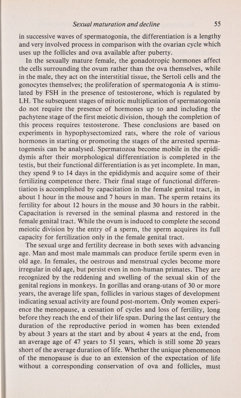 Sexual maturation and decline 55 in successive waves of spermatogonia, the differentiation is a lengthy and very involved process in comparison with the ovarian cycle which uses up the folUcles and ova available after puberty. In the sexually mature female, the gonadotropic hormones affect the cells surrounding the ovum rather than the ova themselves, while in the male, they act on the interstitial tissue, the Sertoli cells and the gonocytes themselves; the proliferation of spermatogonia A is stimu¬ lated by FSH in the presence of testosterone, which is regulated by LH. The subsequent stages of mitotic multiplication of spermatogonia do not require the presence of hormones up to and including the pachytene stage of the first meiotic division, though the completion of this process requires testosterone. These conclusions are based on experiments in hypophysectomized rats, where the role of various hormones in starting or promoting the stages of the arrested sperma¬ togenesis can be analysed. Spermatozoa become mobile in the epidi¬ dymis after their morphological differentiation is completed in the testis, but their functional differentiation is as yet incomplete. In man, they spend 9 to 14 days in the epididymis and acquire some of their fertilizing competence there. Their final stage of functional differen¬ tiation is accomplished by capacitation in the female genital tract, in about 1 hour in the mouse and 7 hours in man. The sperm retains its fertiUty for about 12 hours in the mouse and 30 hours in the rabbit. Capacitation is reversed in the seminal plasma and restored in the female genital tract. While the ovum is induced to complete the second meiotic division by the entry of a sperm, the sperm acquires its full capacity for fertilization only in the female genital tract. The sexual urge and fertility decrease in both sexes with advancing age. Man and most male mammals can produce fertile sperm even in old age. In females, the oestrous and menstrual cycles become more irregular in old age, but persist even in non-human primates. They are recognized by the reddening and swelling of the sexual skin of the genital regions in monkeys. In gorillas and orang-utans of 30 or more years, the average life span, follicles in various stages of development indicating sexual activity are found post-mortem. Only women experi¬ ence the menopause, a cessation of cycles and loss of fertility, long before they reach the end of their hfe span. During the last century the duration of the reproductive period in women has been extended by about 3 years at the start and by about 4 years at the end, from an average age of 47 years to 51 years, which is still some 20 years short of the average duration of life. Whether the unique phenomenon of the menopause is due to an extension of the expectation of life without a corresponding conservation of ova and follicles, must