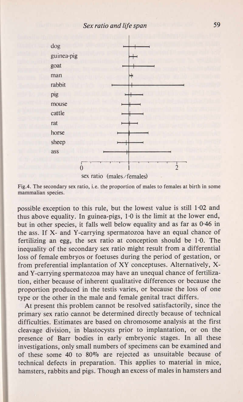 Sex ratio and life span 59 dog guinea-pig goat man rabbit pig mouse cattle rat horse sheep ass -I 1 r- -1 1 1 r- 0 sex ratio (males/females) Fig.4. The secondary sex ratio, i.e. the proportion of males to females at birth in some mammalian species. possible exception to this rule, but the lowest value is still 1-02 and thus above equality. In guinea-pigs, 1-0 is the limit at the lower end, but in other species, it falls well below equality and as far as 0*46 in the ass. If X- and Y-carrying spermatozoa have an equal chance of fertilizing an egg, the sex ratio at conception should be 1-0. The inequality of the secondary sex ratio might result from a differential loss of female embryos or foetuses during the period of gestation, or from preferential implantation of XY conceptuses. Alternatively, X- and Y-carrying spermatozoa may have an unequal chance of fertiliza¬ tion, either because of inherent qualitative differences or because the proportion produced in the testis varies, or because the loss of one type or the other in the male and female genital tract differs. At present this problem cannot be resolved satisfactorily, since the primary sex ratio cannot be determined directly because of technical difficulties. Estimates are based on chromosome analysis at the first cleavage division, in blastocysts prior to implantation, or on the presence of Barr bodies in early embryonic stages. In all these investigations, only small numbers of specimens can be examined and of these some 40 to 80% are rejected as unsuitable because of technical defects in preparation. This applies to material in mice, hamsters, rabbits and pigs. Though an excess of males in hamsters and