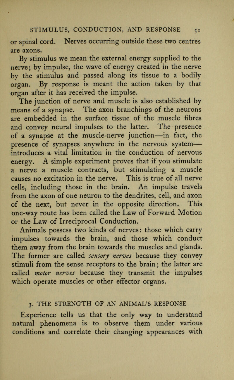 or spinal cord. Nerves occurring outside these two centres are axons. By stimulus we mean the external energy supplied to the nerve; by impulse, the wave of energy created in the nerve by the stimulus and passed along its tissue to a bodily organ. By response is meant the action taken by that organ after it has received the impulse. The junction of nerve and muscle is also established by means of a synapse. The axon branchings of the neurons are embedded in the surface tissue of the muscle fibres and convey neural impulses to the latter. The presence of a synapse at the muscle-nerve junction—in fact, the presence of synapses anywhere in the nervous system— introduces a vital limitation in the conduction of nervous energy. A simple experiment proves that if you stimulate a nerve a muscle contracts, but stimulating a muscle causes no excitation in the nerve. This is true of all nerve cells, including those in the brain. An impulse travels from the axon of one neuron to the dendrites, cell, and axon of the next, but never in the opposite direction. This one-way route has been called the Law of Forward Motion or the Law of Irreciprocal Conduction. Animals possess two kinds of nerves: those which carry impulses towards the brain, and those which conduct them away from the brain towards the muscles and glands. The former are called sensory nerves because they convey stimuli from the sense receptors to the brain ; the latter are called motor nerves because they transmit the impulses which operate muscles or other effector organs. 3. the strength of an animal's response Experience tells us that the only way to understand natural phenomena is to observe them under various conditions and correlate their changing appearances with