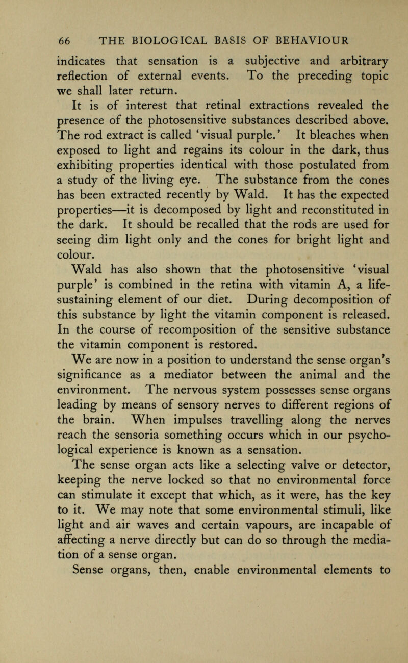 indicates that sensation is a subjective and arbitrary- reflection of external events. To the preceding topic we shall later return. It is of interest that retinal extractions revealed the presence of the photosensitive substances described above. The rod extract is called 'visual purple.' It bleaches when exposed to light and regains its colour in the dark, thus exhibiting properties identical with those postulated from a study of the living eye. The substance from the cones has been extracted recently by Wald. It has the expected properties—it is decomposed by light and reconstituted in the dark. It should be recalled that the rods are used for seeing dim light only and the cones for bright light and colour. Wald has also shown that the photosensitive 'visual purple' is combined in the retina with vitamin A, a life- sustaining element of our diet. During decomposition of this substance by light the vitamin component is released. In the course of recomposition of the sensitive substance the vitamin component is restored. We are now in a position to understand the sense organ's significance as a mediator between the animal and the environment. The nervous system possesses sense organs leading by means of sensory nerves to different regions of the brain. When impulses travelling along the nerves reach the sensoria something occurs which in our psycho logical experience is known as a sensation. The sense organ acts like a selecting valve or detector, keeping the nerve locked so that no environmental force can stimulate it except that which, as it were, has the key to it. We may note that some environmental stimuli, like light and air waves and certain vapours, are incapable of affecting a nerve directly but can do so through the media tion of a sense organ. Sense organs, then, enable environmental elements to