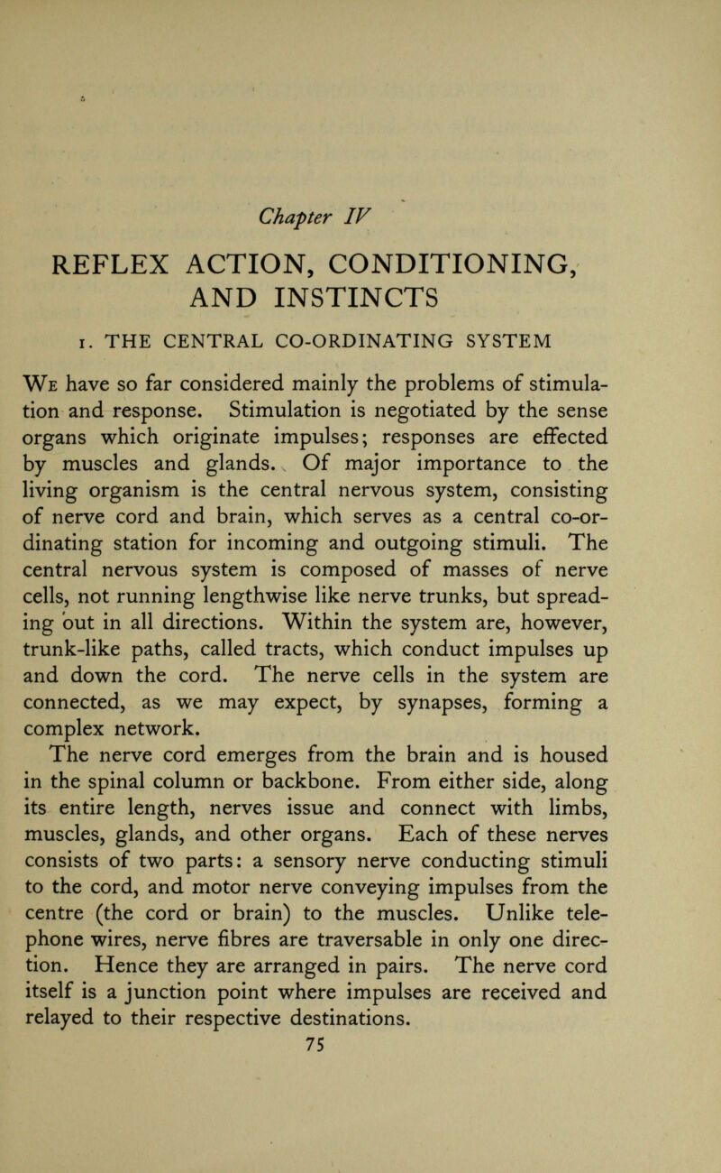 Chapter IV REFLEX ACTION, CONDITIONING, AND INSTINCTS i. the central co-ordinating system We have so far considered mainly the problems of stimula tion and response. Stimulation is negotiated by the sense organs which originate impulses; responses are effected by muscles and glands. v Of major importance to the living organism is the central nervous system, consisting of nerve cord and brain, which serves as a central co-or dinating station for incoming and outgoing stimuli. The central nervous system is composed of masses of nerve cells, not running lengthwise like nerve trunks, but spread ing out in all directions. Within the system are, however, trunk-like paths, called tracts, which conduct impulses up and down the cord. The nerve cells in the system are connected, as we may expect, by synapses, forming a complex network. The nerve cord emerges from the brain and is housed in the spinal column or backbone. From either side, along its entire length, nerves issue and connect with limbs, muscles, glands, and other organs. Each of these nerves consists of two parts: a sensory nerve conducting stimuli to the cord, and motor nerve conveying impulses from the centre (the cord or brain) to the muscles. Unlike tele phone wires, nerve fibres are traversable in only one direc tion. Hence they are arranged in pairs. The nerve cord itself is a junction point where impulses are received and relayed to their respective destinations. 75