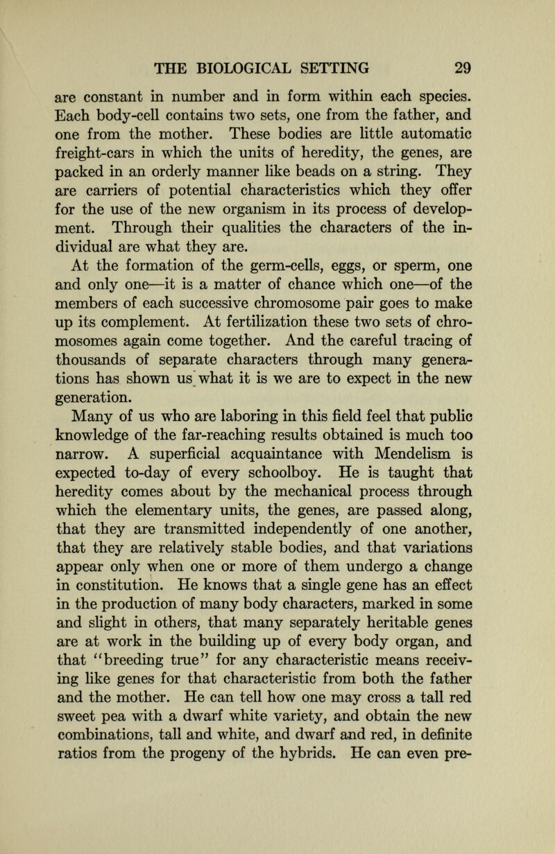 THE BIOLOGICAL SETTING 29 are constant in number and in form within each species. Each body-cell contains two sets, one from the father, and one from the mother. These bodies are little automatic freight-cars in which the units of heredity, the genes, are packed in an orderly manner like beads on a string. They are carriers of potential characteristics which they offer for the use of the new organism in its process of develop¬ ment. Through their qualities the characters of the in¬ dividual are what they are. At the formation of the germ-cells, eggs, or sperm, one and only one—it is a matter of chance which one—of the members of each successive chromosome pair goes to make up its complement. At fertilization these two sets of chro¬ mosomes again come together. And the careful tracing of thousands of separate characters through many genera¬ tions has shown us what it is we are to expect in the new generation. Many of us who are laboring in this field feel that public knowledge of the far-reaching results obtained is much too narrow. A superficial acquaintance with Mendelism is expected to-day of every schoolboy. He is taught that heredity comes about by the mechanical process through which the elementary units, the genes, are passed along, that they are transmitted independently of one another, that they are relatively stable bodies, and that variations appear only when one or more of them undergo a change in constitution. He knows that a single gene has an effect in the production of many body characters, marked in some and slight in others, that many separately heritable genes are at work in the building up of every body organ, and that ''breeding true for any characteristic means receiv¬ ing like genes for that characteristic from both the father and the mother. He can tell how one may cross a tall red sweet pea with a dwarf white variety, and obtain the new combinations, tall and white, and dwarf and red, in definite ratios from the progeny of the hybrids. He can even pre-