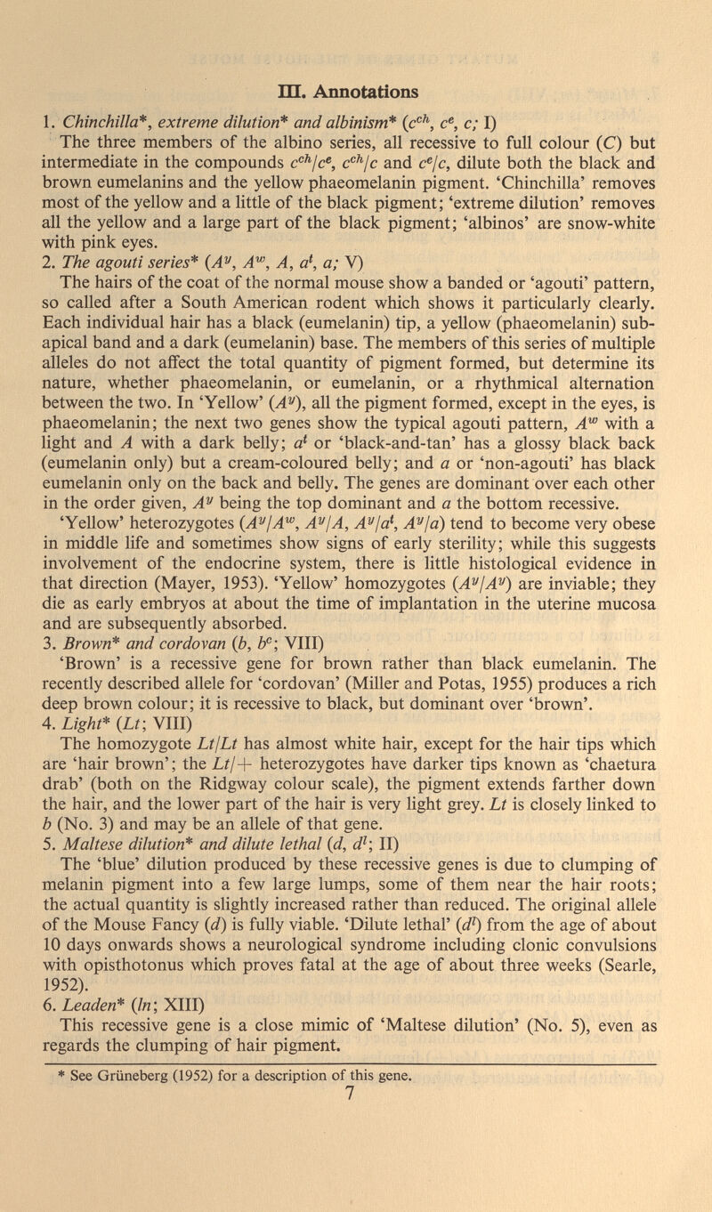 Ш. Annotations 1. Chinchilla*, extreme dilution* and albinism* (c®^, c®, c; I) The three members of the albino series, all recessive to full colour (C) but intermediate in the compounds c^^jc and c®/c, dilute both the black and brown eumelanins and the yellow phaeomelanin pigment. 'Chinchilla' removes most of the yellow and a little of the black pigment; 'extreme dilution' removes all the yellow and a large part of the black pigment; 'albinos' are snow-white with pink eyes. 2. The agouti series* (A^, A'^, A, a*, a; V) The hairs of the coat of the normal mouse show a banded or 'agouti' pattern, so called after a South American rodent which shows it particularly clearly. Each individual hair has a black (eumelanin) tip, a yellow (phaeomelanin) sub- apical band and a dark (eumelanin) base. The members of this series of multiple alleles do not affect the total quantity of pigment formed, but determine its nature, whether phaeomelanin, or eumelanin, or a rhythmical alternation between the two. In 'Yellow' (A^), all the pigment formed, except in the eyes, is phaeomelanin; the next two genes show the typical agouti pattern, A'^ with a light and A with a dark belly; a' or 'black-and-tan' has a glossy black back (eumelanin only) but a cream-coloured belly; and a or 'non-agouti' has black eumelanin only on the back and belly. The genes are dominant over each other in the order given, A'^ being the top dominant and a the bottom recessive. 'Yellow' heterozygotes {A'^^jA^, A^jA, A^ja^ A^ja) tend to become very obese in middle life and sometimes show signs of early sterility; while this suggests involvement of the endocrine system, there is little histological evidence in that direction (Mayer, 1953). 'Yellow' homozygotes {A^jA^) are inviable; they die as early embryos at about the time of implantation in the uterine mucosa and are subsequently absorbed. 3. Brown* and cordovan (6, è; VIII) 'Brown' is a recessive gene for brown rather than black eumelanin. The recently described allele for 'cordovan' (Miller and Potas, 1955) produces a rich deep brown colour; it is recessive to black, but dominant over 'brown'. 4. Light* (Lt; VIII) The homozygote LtjLt has almost white hair, except for the hair tips which are 'hair brown' ; the Lt¡ + heterozygotes have darker tips known as 'chaetura drab' (both on the Ridgway colour scale), the pigment extends farther down the hair, and the lower part of the hair is very light grey. Lt is closely linked to b (No. 3) and may be an allele of that gene. 5. Maltese dilution* and dilute lethal {d, d^; II) The 'blue' dilution produced by these recessive genes is due to clumping of melanin pigment into a few large lumps, some of them near the hair roots; the actual quantity is slightly increased rather than reduced. The original allele of the Mouse Fancy (d) is fully viable, 'Dilute lethal' {d^ from the age of about 10 days onwards shows a neurological syndrome including clonic convulsions with opisthotonus which proves fatal at the age of about three weeks (Searle, 1952). 6. Leaden* {In; XIII) This recessive gene is a close mimic of 'Maltese dilution' (No. 5), even as regards the clumping of hair pigment. * See Grüneberg (1952) for a description of this gene. 7