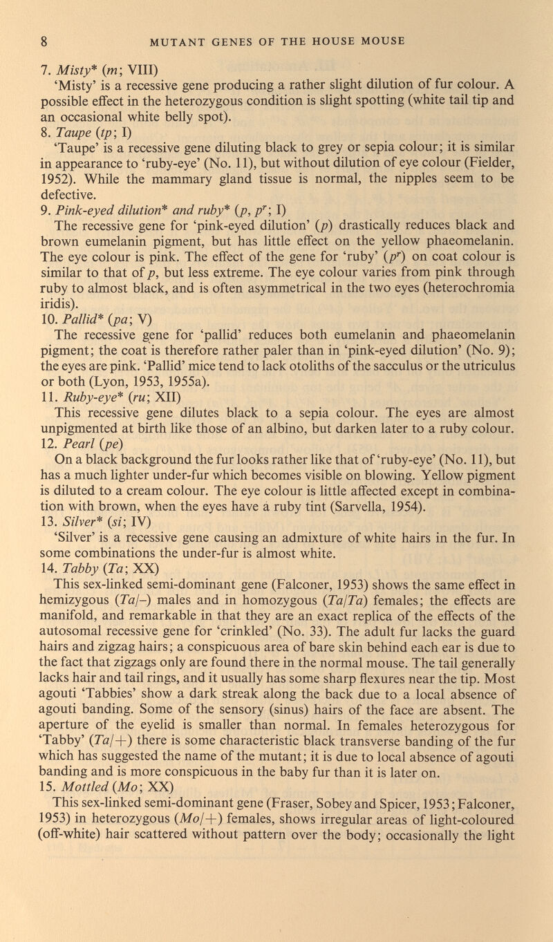 8 MUTANT GENES OF THE HOUSE MOUSE 7. Misty* (m; VIII) 'Misty' is a recessive gene producing a rather slight dilution of fur colour. A possible effect in the heterozygous condition is sHght spotting (white taü tip and an occasional white belly spot). 8. Taupe (tp; I) 'Taupe' is a recessive gene diluting black to grey or sepia colour; it is similar in appearance to 'ruby-eye' (No. 11), but without dilution of eye colour (Fielder, 1952). While the mammary gland tissue is normal, the nipples seem to be defective. 9. Pink-eyed dilution* and ruby* {p, I) The recessive gene for 'pink-eyed dilution' (/») drastically reduces black and brown eumelanin pigment, but has little effect on the yellow phaeomelanin. The eye colour is pink. The effect of the gene for 'ruby' {p'^) on coat colour is similar to that of p, but less extreme. The eye colour varies from pink through ruby to almost black, and is often asymmetrical in the two eyes (heterochromia iridis). 10. Pallid* (pa; Y) The recessive gene for 'pallid' reduces both eumelanin and phaeomelanin pigment; the coat is therefore rather paler than in 'pink-eyed dilution' (No. 9); the eyes are pink. 'Pallid' mice tend to lack otoliths of the sacculus or the utriculus or both (Lyon, 1953, 1955a). 11. Ruby-eye* (m; XII) This recessive gene dilutes black to a sepia colour. The eyes are almost unpigmented at birth like those of an albino, but darken later to a ruby colour. 12. Pearl {pe) On a black background the fur looks rather like that of 'ruby-eye' (No. 11), but has a much lighter under-fur which becomes visible on blowing. Yellow pigment is diluted to a cream colour. The eye colour is little affected except in combina¬ tion with brown, when the eyes have á ruby tint (Sarveila, 1954). 13. Silver* (si; IV) 'Silver' is a recessive gene causing an admixture of white hairs in the fur. In some combinations the under-fur is almost white. 14. Tabby (Ta; XX) This sex-linked semi-dominant gene (Falconer, 1953) shows the same effect in hemizygous (Ta¡-) males and in homozygous (TajTa) females; the effects are manifold, and remarkable in that they are an exact replica of the effects of the autosomal recessive gene for 'crinkled' (No. 33). The adult fur lacks the guard hairs and zigzag hairs ; a conspicuous area of bare skin behind each ear is due to the fact that zigzags only are found there in the normal mouse. The tail generally lacks hair and tail rings, and it usually has some sharp flexures near the tip. Most agouti 'Tabbies' show a dark streak along the back due to a local absence of agouti banding. Some of the sensory (sinus) hairs of the face are absent. The aperture of the eyehd is smaller than normal. In females heterozygous for 'Tabby' (Ja/+) there is some characteristic black transverse banding of the fur which has suggested the name of the mutant; it is due to local absence of agouti banding and is more conspicuous in the baby fur than it is later on. 15. Mottled (Mo; XX) This sex-linked semi-dominant gene (Fraser, Sobey and Spicer, 1953 ; Falconer, 1953) in heterozygous (Mo/+) females, shows irregular areas of light-coloured (off-white) hair scattered without pattern over the body; occasionally the light