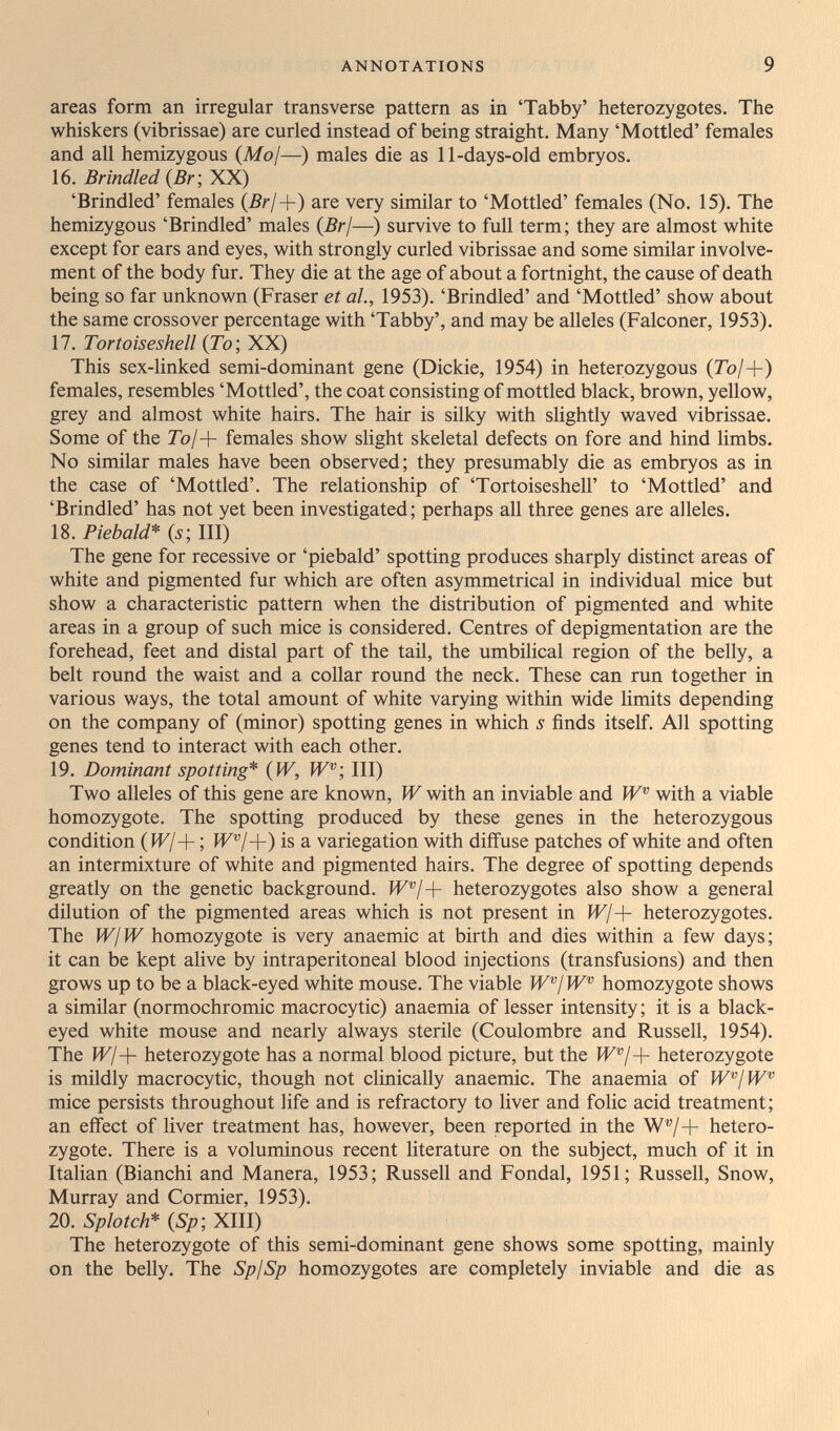 ANNOTATIONS 9 areas form an irregular transverse pattern as in 'Tabby' heterozygotes. The whiskers (vibrissae) are curled instead of being straight. Many 'Mottled' females and all hemizygous {Mo¡—) males die as 11-days-old embryos. 16. Brindled {Br; XX) 'Brindled' females (5//+) are very similar to 'Mottled' females (No. 15). The hemizygous 'Brindled' males (Br/—) survive to full term; they are almost v^^hite except for ears and eyes, with strongly curled vibrissae and some similar involve¬ ment of the body fur. They die at the age of about a fortnight, the cause of death being so far unknown (Fraser et al, 1953). 'Brindled' and 'Mottled' show about the same crossover percentage with 'Tabby', and may be alleles (Falconer, 1953). 17. Tortoiseshell (To; XX) This sex-linked semi-dominant gene (Dickie, 1954) in heterozygous (7o/+) females, resembles 'Mottled', the coat consisting of mottled black, brown, yellow, grey and almost white hairs. The hair is silky with slightly waved vibrissae. Some of the 7o/+ females show slight skeletal defects on fore and hind limbs. No simñar males have been observed; they presumably die as embryos as in the case of 'Mottled'. The relationship of 'Tortoiseshell' to 'Mottled' and 'Brindled' has not yet been investigated; perhaps all three genes are alleles. 18. Piebald* {s; III) The gene for recessive or 'piebald' spotting produces sharply distinct areas of white and pigmented fur which are often asymmetrical in individual mice but show a characteristic pattern when the distribution of pigmented and white areas in a group of such mice is considered. Centres of depigmentation are the forehead, feet and distal part of the tail, the umbilical region of the belly, a belt round the waist and a collar round the neck. These can run together in various ways, the total amount of white varying within wide limits depending on the company of (minor) spotting genes in which s finds itself. All spotting genes tend to interact with each other. 19. Dominant spotting* (W, W; III) Two alleles of this gene are known, W with an inviable and W with a viable homozygote. The spotting produced by these genes in the heterozygous condition (Ж/+ ; И^®/+) is a variegation with diffuse patches of white and often an intermixture of white and pigmented hairs. The degree of spotting depends greatly on the genetic background. Ж®/+ heterozygotes also show a general dilution of the pigmented areas which is not present in Ж/+ heterozygotes. The W/ W homozygote is very anaemic at birth and dies within a few days ; it can be kept alive by intraperitoneal blood injections (transfusions) and then grows up to be a black-eyed white mouse. The viable W^jW^ homozygote shows a similar (normochromic macrocytic) anaemia of lesser intensity; it is a black- eyed white mouse and nearly always sterile (Coulombre and Russell, 1954). The Wj + heterozygote has a normal blood picture, but the W^j + heterozygote is mildly macrocytic, though not clinically anaemic. The anaemia of W^jW^ mice persists throughout life and is refractory to liver and folic acid treatment; an effect of liver treatment has, however, been reported in the W®/+ hetero¬ zygote. There is a voluminous recent literature on the subject, much of it in Italian (Bianchi and Manera, 1953; Russell and Fondai, 1951; Russell, Snow, Murray and Cormier, 1953). 20. Splotch* {Sp; XIII) The heterozygote of this semi-dominant gene shows some spotting, mainly on the belly. The SpjSp homozygotes are completely inviable and die as