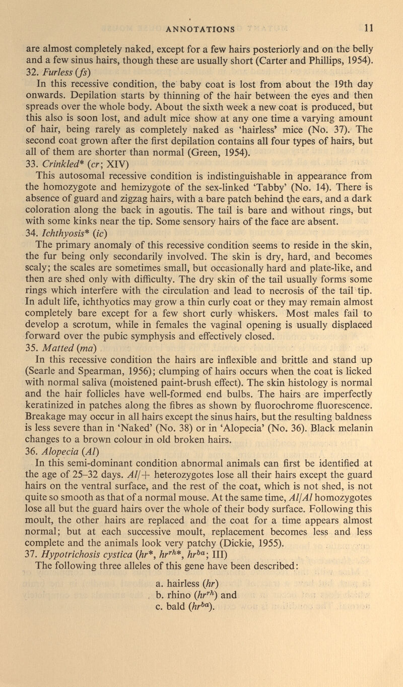 ANNOTATIONS 11 are almost completely naked, except for a few hairs posteriorly and on the belly and a few sinus hairs, though these are usually short (Carter and Phillips, 1954). 32. Furless (fs) In this recessive condition, the baby coat is lost from about the 19th day onwards. Depilation starts by thinning of the hair between the eyes and then spreads over the whole body. About the sixth week a new coat is produced, but this also is soon lost, and adult mice show at any one time a varying amount of hair, being rarely as completely naked as 'hairless* mice (No. 37). The second coat grown after the first depñation contains all four types of hairs, but all of them are shorter than normal (Green, 1954). 33. Crinkled* (cr; XTV) This autosomal recessive condition is indistinguishable in appearance from the homozygote and hemizygote of the sex-linked 'Tabby' (No. 14). There is absence of guard and zigzag hairs, with a bare patch behind t.he ears, and a dark coloration along the back in agoutis. The tail is bare and without rings, but with some kinks near the tip. Some sensory hairs of the face are absent. 34. Ichthyosis* (ic) The primary anomaly of this recessive condition seems to reside in the skin, the fur being only secondarily involved. The skin is dry, hard, and beconies scaly ; the scales are sometimes small, but occasionally hard and plate-like, and then are shed only with difficulty. The dry skin of the tail usually forms some rings which interfere with the circulation and lead to necrosis of the tail tip. In adult life, ichthyotics may grow a thin curly coat or they may remain almost completely bare except for a few short curly whiskers. Most males fail to develop a scrotum, whñe in females the vaginal opening is usually displaced forward over the pubic symphysis and effectively closed. 35. Matted {ma) In this recessive condition the hairs are inflexible and brittle and stand up (Searle and Spearman, 1956); clumping of hairs occurs when the coat is licked with normal saliva (moistened paint-brush effect). The skin histology is normal and the hair follicles have well-formed end bulbs. The hairs are imperfectly keratinized in patches along the fibres as shown by fiuorochrome fluorescence. Breakage may occur in all hairs except the sinus hairs, but the resulting baldness is less severe than in 'Naked' (No. 38) or in 'Alopecia' (No. 36). Black melanin changes to a brown colour in old broken hairs. 36. Alopecia {Al) In this semi-dominant condition abnormal animals can first be identified at the age of 25-32 days. Alf-^- heterozygotes lose all their hairs except the guard hairs on the ventral surface, and the rest of the coat, which is not shed, is not quite so smooth as that of a normal mouse. At the same time, AljAl homozygotes lose all but the guard hairs over the whole of their body surface. Following this moult, the other hairs are replaced and the coat for a time appears almost normal; but at each successive moult, replacement becomes less and less complete and the animals look very patchy (Dickie, 1955). 37. Hypotrichosis cystica {hr*, hr^^*, hr'^; III) The following three alleles of this gene have been described : a. hairiess (Ar) j зй . b. rhino (Ar'''^) and . ^ C. bald (Ar^®). • i \ ■ ri ior?