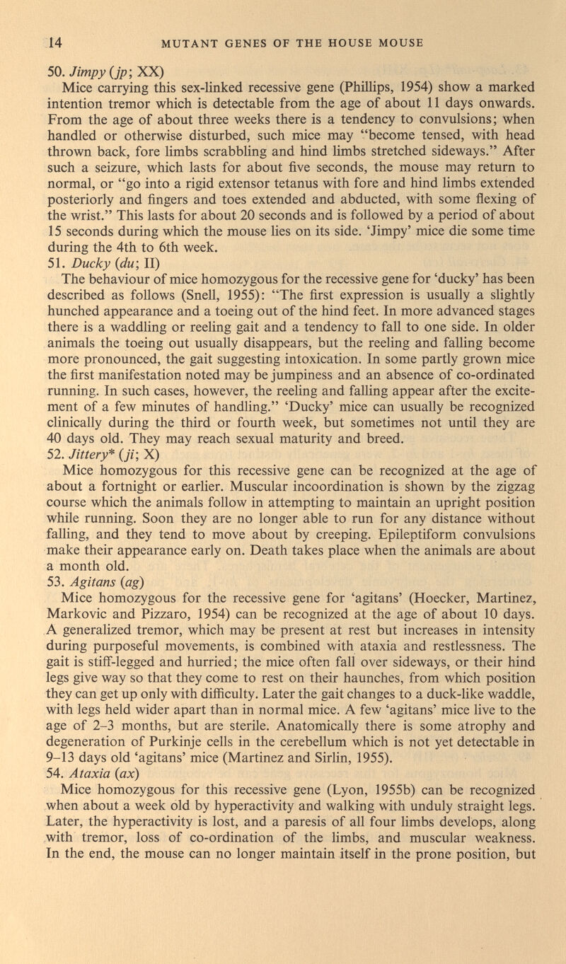 14 MUTANT GENES OF THE HOUSE MOUSE 50, Jimpy (jp; XX) Mice carrying this sex-linked recessive gene (Phillips, 1954) show a marked intention tremor which is detectable from the age of about 11 days onwards. From the age of about three weeks there is a tendency to convulsions ; when handled or otherwise disturbed, such mice may become tensed, with head thrown back, fore limbs scrabbling and hind limbs stretched sideways. After such a seizure, which lasts for about five seconds, the mouse may return to normal, or go into a rigid extensor tetanus with fore and hind limbs extended posteriorly and fingers and toes extended and abducted, with some flexing of the wrist. This lasts for about 20 seconds and is followed by a period of about 15 seconds during which the mouse lies on its side. 'Jimpy' mice die some time during the 4th to 6th week. 51, Ducky (du; II) The behaviour of mice homozygous for the recessive gene for 'ducky' has been described as follows (Snell, 1955); The first expression is usually a slightly hunched appearance and a toeing out of the hind feet. In more advanced stages there is a waddling or reeling gait and a tendency to fall to one side. In older animals the toeing out usually disappears, but the reeling and falling become more pronounced, the gait suggesting intoxication. In some partly grown mice the first manifestation noted may be jumpiness and an absence of co-ordinated running. In such cases, however, the reeling and falling appear after the excite¬ ment of a few minutes of handling. 'Ducky' mice can usually be recognized clinically during the third or fourth week, but sometimes not until they are 40 days old. They may reach sexual maturity and breed. 52, Jittery* (ji; X) Mice homozygous for this recessive gene can be recognized at the age of about a fortnight or earlier. Muscular incoordination is shown by the zigzag course which the animals follow in attempting to maintain an upright position while running. Soon they are no longer able to run for any distance without falling, and they tend to move about by creeping. Epileptiform convulsions make their appearance early on. Death takes place when the animals are about a month old, 53, Agitans (ag) Mice homozygous for the recessive gene for 'agitans' (Hoecker, Martinez, Markovic and Pizzaro, 1954) can be recognized at the age of about 10 days, A generalized tremor, which may be present at rest but increases in intensity during purposeful movements, is combined with ataxia and restlessness. The gait is stiff-legged and hurried ; the mice often fall over sideways, or their hind legs give way so that they come to rest on their haunches, from which position they can get up only with difficulty. Later the gait changes to a duck-like waddle, with legs held wider apart than in normal mice. A few 'agitans' mice live to the age of 2-3 months, but are sterile. Anatomically there is some atrophy and degeneration of Purkinje cells in the cerebellum which is not yet detectable in 9-13 days old 'agitans' mice (Martinez and Sirlin, 1955), 54, Ataxia {ax) Mice homozygous for this recessive gene (Lyon, 1955b) can be recognized when about a week old by hyperactivity and walking with unduly straight legs. Later, the hyperactivity is lost, and a paresis of all four limbs develops, along with tremor, loss of co-ordination of the limbs, and muscular weakness. In the end, the mouse can no longer maintain itself in the prone position, but