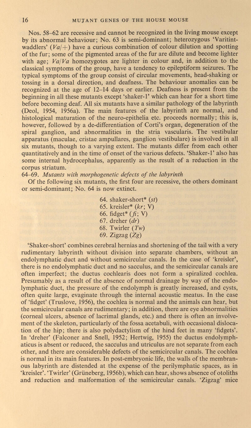 16 MUJANT GENES OF THE HOUSE MOUSE Nos. 58-62 are recessive and cannot be recognized in the living mouse except by its abnormal behaviour; No. 63 is semi-dominant; heterozygous 'Varitint- waddlers' (Fa/+) have a curious combination of colour dilution and spotting of the fur; some of the pigmented areas of the fur are dilute and become lighter with age; Val Va homozygotes are lighter in colour and, in addition to the classical symptoms of the group, have a tendency to epileptiform seizures. The typical symptoms of the group consist of circular movements, head-shaking or tossing in a dorsal direction, and deafness. The behaviour anomalies can be recognized at the age of 12-14 days or earlier. Deafness is present from the beginning in all these mutants except 'shaker-Г which can hear for a short time before becoming deaf. All six mutants have a similar pathology of the labyrinth (Deol, 1954, 1956a). The main features of the labyrinth are normal, and histological maturation of the neuro-epithelia etc. proceeds normally; this is, however, followed by a de-differentiation of Corti's organ, degeneration of the spiral ganglion, and abnormalities in the stria vascularis. The vestibular apparatus (maculae, cristae ampullares, ganglion vestibuläre) is involved in all six mutants, though to a varying extent. The mutants differ from each other quantitatively and in the time of onset of the various defects. 'Shaker-Г also has some internal hydrocephalus, apparently as the result of a reduction in the corpus striatum. 64-69. Mutants with morphogenetic defects of the labyrinth Of the following six mutants, the first four are recessive, the others dominant or semi-dominant; No. 64 is now extinct. 64. shaker-short* {st) 65. kreisler* {kr-, V) 66. fidget* {fi-, V) 67. dreher (dr) 68. Twirler {Tw) 69. Zigzag {Zg) 'Shaker-short' combines cerebral hernias and shortening of the tail with a very rudimentary labyrinth without division into separate chambers, without an endolymphatic duct and without semicircular canals. In the case of 'kreisler', there is no endolymphatic duct and no sacculus, and the semicircular canals are often imperfect; the ductus cochlearis does not form a spiralized cochlea. Presumably as a result of the absence of normal drainage by way of the endo¬ lymphatic duct, the pressure of the endolymph is greatly increased, and cysts, often quite large, evaginate through the internal acoustic meatus. In the case of 'fidget' (Truslove, 1956), the cochlea is normal and the animals can hear, but the semicircular canals are rudimentary; in addition, there are eye abnormalities (corneal ulcers, absence of lacrimal glands, etc.) and there is often an involve¬ ment of the skeleton, particularly of the fossa acetabuli, with occasional disloca¬ tion of the hip; there is also polydactylism of the hind feet in many 'fidgets'. In 'dreher' (Falconer and Snell, 1952; Hertwig, 1955) the ductus endolymph¬ aticus is absent or reduced, the sacculus and utriculus are not separate from each other, and there are considerable defects of the semicircular canals. The cochlea is normal in its main features. In post-embryonic life, the walls of the membran¬ ous labyrinth are distended at the expense of the perilymphatic spaces, as in 'kreisler'. 'Twirler' (Grüneberg, 1956b), which can hear, shows absence of otoliths and reduction and malformation of the semicircular canals. 'Zigzag' mice