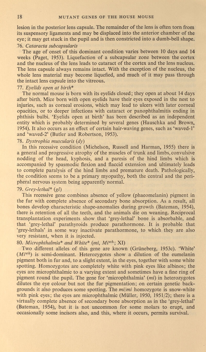 18 MUTANT GENES OF THE HOUSE MOUSE lesion in the posterior lens capsule. The remainder of the lens is often torn froni its suspensory ligaments and may be displaced into the anterior chamber of the eye; it may get stuck in the pupil and is then constricted into a dumb-bell shape. 76. Cataracta subcapsularis The age of onset of this dominant condition varies between 10 days and 14 weeks (Paget, 1953). Liquefaction of a subcapsular zone between the cortex and the nucleus of the lens leads to cataract of the cortex and the lens nucleus. The lens capsule always remains intact. With the exception of the nucleus, the whole lens material may become liquefied, and much of it may pass through the intact lens capsule into the vitreous. 77. Eyelids open at birth* The normal mouse is born with its eyeHds closed; they open at about 14 days after birth. Mice born with open eyelids have their eyes exposed in the nest to injuries, such as corneal erosions, which may lead to ulcers with later corneal opacities, or to deeper infections with cataract or panophthalmitis ending in phthisis bulbi. 'Eyelids open at birth' has been described as an independent entity which is probably determined by several genes (Hauschka and Brown, 1954). It also occurs as an effect of certain hair-waving genes, such as 'waved-Г and 'waved-2' (Butler and Robertson, 1953). 78. Dystrophia muscular is {dy) In this recessive condition (Michelson, Russell and Harman, 1955) there is a general and progressive atrophy of the muscles of trunk and limbs, convulsive nodding of the head, kyphosis, and a paresis of the hind limbs which is accompanied by spasmodic flexion and flaccid extension and ultimately leads to complete paralysis of the hind limbs and premature death. Pathologically, the condition seems to be a primary myopathy, both the central and the peri¬ pheral nervous system being apparently normal. 79. Grey-lethal* (gl) This recessive gene combines absence of yellow (phaeomelanin) pigment in the fur with complete absence of secondary bone absorption. As a result, all bones develop characteristic shape-anomalies during growth (Bateman, 1954), there is retention of all the teeth, and the animals die on weaning. Reciprocal transplantation experiments show that 'grey-lethal' bone is absorbable, and that 'grey-lethal' parathyroids produce parathormone. It is probable that 'grey-lethals' in some way inactivate parathormone, to which they are also very resistant, when it is injected. 80. Microphthalmia* and White* {mi, Mi'^^; XI) Two different alleles of this gene are known (Grüneberg, 1953c). 'White' (Mi'^^) is semi-dominant. Heterozygotes show a dilution of the eumelanin pigment both in fur and, to a slight extent, in the eyes, together with some white spotting. Homozygotes are completely white with pink eyes like albinos; the eyes are microphthalmic to a varying extent and sometimes have a fine ring of pigment round the pupil. The gene for 'microphthalmia' (mi) in heterozygotes dilutes the eye colour but not the fur pigmentation; on certain genetic back¬ grounds it also produces some spotting. The mi/mi homozygote is snow-white with pink eyes; the eyes are microphthalmic (Müller, 1950, 1951/2); there is a virtually complete absence of secondary bone absorption as in the 'grey-lethal' (Bateman, 1954), but it is not uncommon for some molars to erupt, and occasionally some incisors also, and this, where it occurs, permits survival.