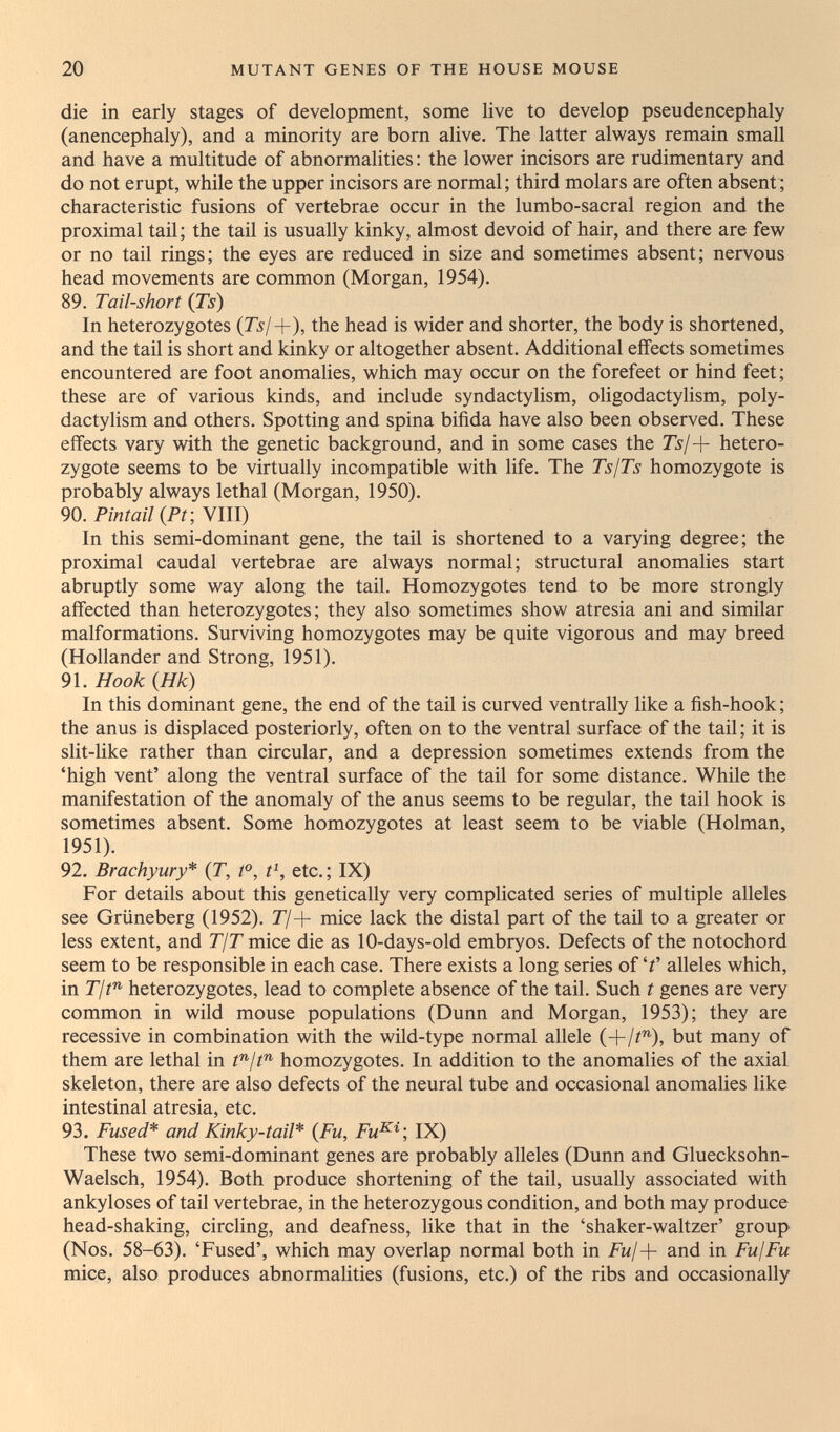 20 MUTANT GENES OF THE HOUSE MOUSE die in early stages of development, some live to develop pseudencephaly (anencephaly), and a minority are born alive. The latter alvi^ays remain small and have a multitude of abnormalities : the lower incisors are rudimentary and do not erupt, v^'hile the upper incisors are normal; third molars are often absent; characteristic fusions of vertebrae occur in the lumbo-sacral region and the proximal tail; the tail is usually kinky, almost devoid of hair, and there are few or no tail rings; the eyes are reduced in size and sometimes absent; nervous head movements are common (Morgan, 1954). 89. Tail-short (Ts) In heterozygotes (Tsl+), the head is wider and shorter, the body is shortened, and the tail is short and kinky or altogether absent. Additional effects sometimes encountered are foot anomalies, which may occur on the forefeet or hind feet; these are of various kinds, and include syndactylism, oligodactylism, poly- dactylism and others. Spotting and spina bifida have also been observed. These efifects vary with the genetic background, and in some cases the 7^/+ hetero¬ zygote seems to be virtually incompatible with life. The TsjTs homozygote is probably always lethal (Morgan, 1950). 90. Pintail {Pf, VIII) In this semi-dominant gene, the tail is shortened to a varying degree; the proximal caudal vertebrae are always normal; structural anomalies start abruptly some way along the tail. Homozygotes tend to be more strongly affected than heterozygotes; they also sometimes show atresia ani and similar malformations. Surviving homozygotes may be quite vigorous and may breed (Hollander and Strong, 1951). 91. Hook {Hk) In this dominant gene, the end of the tail is curved ventrally like a fish-hook ; the anus is displaced posteriorly, often on to the ventral surface of the tail; it is slit-like rather than circular, and a depression sometimes extends from the 'high vent' along the ventral surface of the tail for some distance. While the manifestation of the anomaly of the anus seems to be regular, the tail hook is sometimes absent. Some homozygotes at least seem to be viable (Holman, 1951). 92. Brachyury* (T, t°, t\ etc.; IX) For details about this genetically very complicated series of multiple alleles see Grüneberg (1952). Г/+ mice lack the distal part of the tail to a greater or less extent, and TjT mice die as 10-days-old embryos. Defects of the notochord seem to be responsible in each case. There exists a long series of alleles which, in r/P heterozygotes, lead to complete absence of the tail. Such t genes are very common in wild mouse populations (Dunn and Morgan, 1953); they are recessive in combination with the wild-type normal allele (+/i^), but many of them are lethal in homozygotes. In addition to the anomalies of the axial skeleton, there are also defects of the neural tube and occasional anomalies like intestinal atresia, etc. 93. Fused* and Kinky-tail* {Fu, Fu^^; IX) These two semi-dominant genes are probably alleles (Dunn and Gluecksohn- Waelsch, 1954). Both produce shortening of the tail, usually associated with ankyloses of tail vertebrae, in the heterozygous condition, and both may produce head-shaking, circling, and deafness, like that in the 'shaker-waltzer' group (Nos. 58-63). 'Fused', which may overlap normal both in and in Fu!Fu mice, also produces abnormalities (fusions, etc.) of the ribs and occasionally