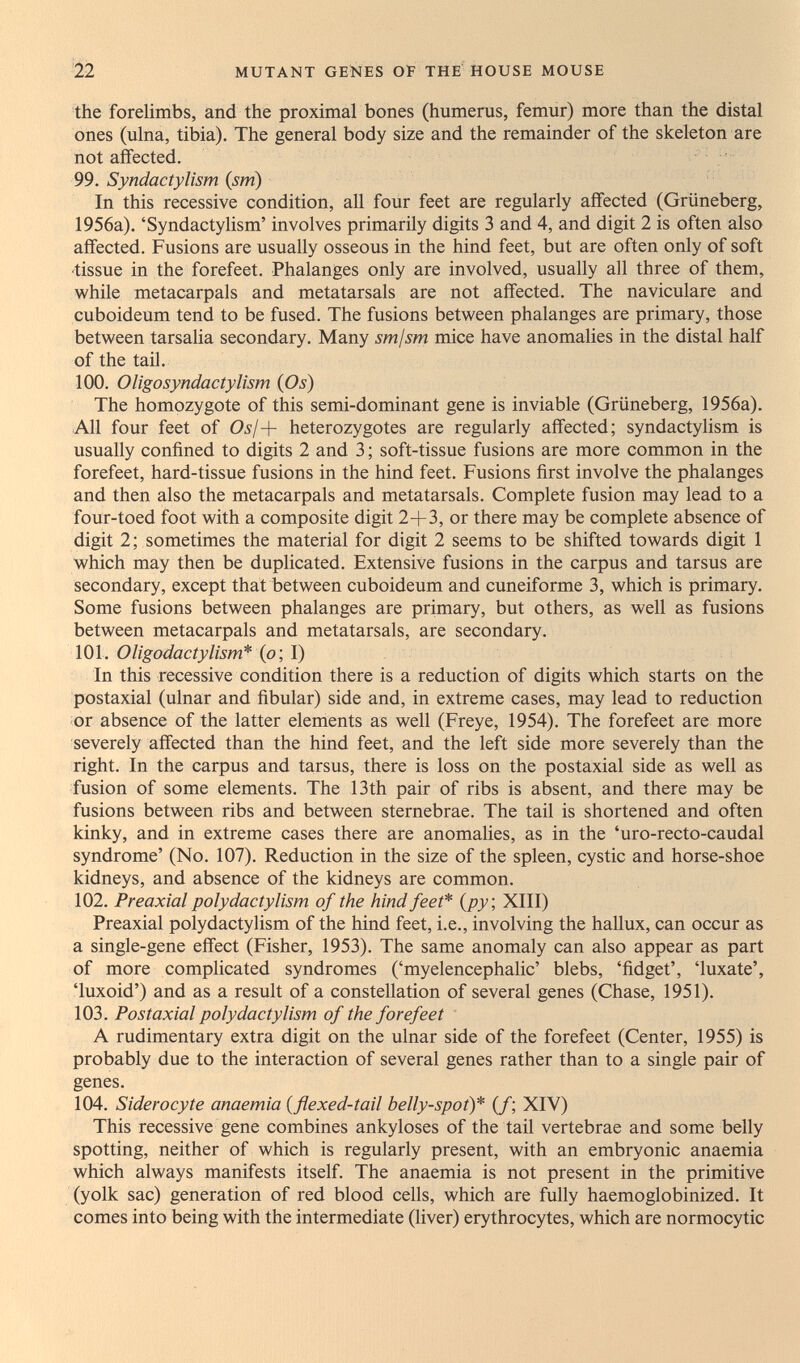 22 MUTANT GENES Of THE HOUSE MOUSE the forelimbs, and the proximal bones (humerus, femur) more than the distal ones (ulna, tibia). The general body size and the remainder of the skeleton are not affected. 99. Syndactylism (sm) In this recessive condition, all four feet are regularly affected (Grüneberg, 1956a). 'Syndactylism' involves primarily digits 3 and 4, and digit 2 is often also affected. Fusions are usually osseous in the hind feet, but are often only of soft ■tissue in the forefeet. Phalanges only are involved, usually all three of them, while metacarpals and metatarsals are not affected. The naviculare and cuboideum tend to be fused. The fusions between phalanges are primary, those between tarsalia secondary. Many sm/sm mice have anomalies in the distal half of the tail. 100. Oligosyndactylism {Os) The homozygote of this semi-dominant gene is in viable (Grüneberg, 1956a). All four feet of Os¡+ heterozygotes are regularly affected; syndactylism is usually conñned to digits 2 and 3 ; soft-tissue fusions are more common in the forefeet, hard-tissue fusions in the hind feet. Fusions ñrst involve the phalanges and then also the metacarpals and metatarsals. Complete fusion may lead to a four-toed foot with a composite digit 2+3, or there may be complete absence of digit 2; sometimes the material for digit 2 seems to be shifted towards digit 1 which may then be duplicated. Extensive fusions in the carpus and tarsus are secondary, except that between cuboideum and cuneiforme 3, which is primary. Some fusions between phalanges are primary, but others, as well as fusions between metacarpals and metatarsals, are secondary. \Q\. Oligodactylism* {o',\) In this recessive condition there is a reduction of digits which starts on the postaxial (ulnar and fibular) side and, in extreme cases, may lead to reduction or absence of the latter elements as well (Freye, 1954). The forefeet are more severely affected than the hind feet, and the left side more severely than the right. In the carpus and tarsus, there is loss on the postaxial side as well as fusion of some elements. The 13th pair of ribs is absent, and there may be fusions between ribs and between sternebrae. The tail is shortened and often kinky, and in extreme cases there are anomalies, as in the 'uro-recto-caudal syndrome' (No. 107). Reduction in the size of the spleen, cystic and horse-shoe kidneys, and absence of the kidneys are common. 102. Preaxial polydactylism of the hind feet* {py, XIII) Preaxial polydactylism of the hind feet, i.e., involving the hallux, can occur as a single-gene effect (Fisher, 1953). The same anomaly can also appear as part of more complicated syndromes ('myelencephalic' blebs, 'fidget', 'luxate', 'luxoid') and as a result of a constellation of several genes (Chase, 1951). 103. Postaxial polydactylism of the forefeet A rudimentary extra digit on the ulnar side of the forefeet (Center, 1955) is probably due to the interaction of several genes rather than to a single pair of genes. 104. Siderocyte anaemia {flexed-tail belly-spot)* (f; XIV) This recessive gene combines ankyloses of the tail vertebrae and some belly spotting, neither of which is regularly present, with an embryonic anaemia which always manifests itself. The anaemia is not present in the primitive (yolk sac) generation of red blood cells, which are fully haemoglobinized. It comes into being with the intermediate (liver) erythrocytes, which are normocytic