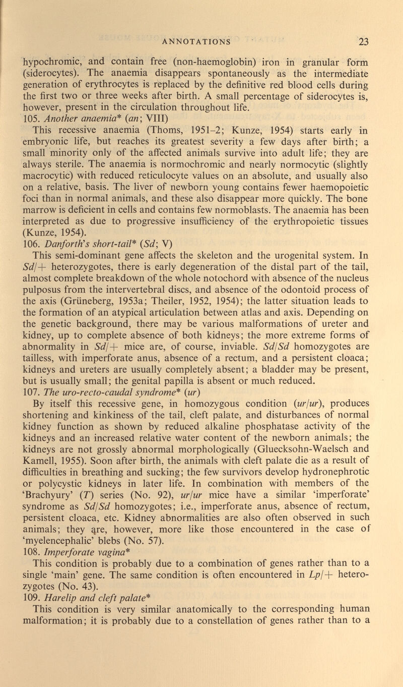 ANNOTATIONS 23 hypochromic, and contain free (non-haemoglobin) iron in granular form (siderocytes). The anaemia disappears spontaneously äs the internièdiate generation of erythrocytes is replaced by the definitive red blood cells during the first two or three weeks after birth. A small percentage of siderocytes is, however, present in the circulation throughout life. 105. Another anaemia* {an', VIII) This recessive anaemia (Thoms, 1951-2; Kunze, 1954) starts early in embryonic life, but reaches its greatest severity a few days after birth; a small minority only of the aifected animals survive into adult life ; they are always sterile. The anaemia is normochromic and nearly normocytic (slightly macrocytic) with reduced reticulocyte values on an absolute, and usually also on a relative, basis. The liver of newborn young contains fewer haemopoietic foci than in normal animals, and these also disappear more quickly. The bone marrow is deficient in cells and contains few normoblasts. The anaemia has been interpreted as due to progressive insufficiency of the erythropoietic tissues (Kunze, 1954). 106. Вап/огМз short-tail* (Sd; V) This semi-dominant gene affects the skeleton and the urogenital system. In Sd/-\- heterozygotes, there is early degeneration of the distal part of the tail, almost complete breakdown of the whole notochord with absence of the nucleus pulposus from the intervertebral discs, and absence of the odontoid process of the axis (Grüneberg, 1953a; Theiler, 1952, 1954); the latter situation leads to the formation of an atypical articulation between atlas and axis. Depending on the genetic background, there may be various malformations of ureter and kidney, up to complete absence of both kidneys; the more extreme forms of abnormality in 5й?/+ mice are, of course, in viable. SdfSd homozygotes are tailless, with imperforate anus, absence of a rectum, and a persistent cloaca; kidneys and ureters are usually completely absent; a bladder may be present, but is usually small; the genital papilla is absent or much reduced. 107. The uro-recto-caudal syndrome* (ur) By itself this recessive gene, in homozygous condition (uriur), produces shortening and kinkiness of the tail, cleft palate, and disturbances of normal kidney function as shown by reduced alkaline phosphatase activity of the kidneys and an increased relative water content of the newborn animals; the kidneys are not grossly abnormal morphologically (Gluecksohn-Waelsch and Kamell, 1955). Soon after birth, the animals with cleft palate die as a result of difficulties in breathing and sucking; the few survivors develop hydronephrotic or polycystic kidneys in later life. In combination with members of the 'Brachyury' (Г) series (No. 92), urjur mice have a similar 'imperforate' syndrome as SdjSd homozygotes; i.e., imperforate anus, absence of rectum, persistent cloaca, etc. Kidney abnormalities are also often observed in such animals; they ^re, however, more like those encountered in the case of 'myelencephalic' blebs (No. 57). 108. Imperforate vagina* This condition is probably due to a combination of genes rather than to a single 'main' gene. The same condition is often encountered in Lp¡-\- hetero¬ zygotes (No. 43). 109. Harelip and cleft palate* This condition is very similar anatomically to the corresponding human malformation; it is probably due to a constellation of genes rather than to a