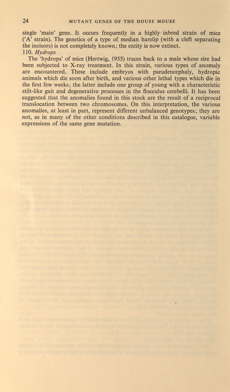24 MUTANT GENES OF THE HOUSE MOUSE single 'main' gene. It occurs frequently in a highly inbred strain of mice ('A' strain). The genetics of a type of median harelip (with a cleft separating the incisors) is not completely known ; the entity is now extinct. 110. Hydrops The 'hydrops' of mice (Hertwig, 1955) traces back to a male whose sire had been subjected to X-ray treatment. In this strain, various types of anomaly are encountered. These include embryos with pseudencephaly, hydropic animals which die soon after birth, and various other lethal types which die in the first few weeks ; the latter include one group of young with a characteristic stilt-like gait and degenerative processes in the flocculus cerebelli. It has been suggested that the anomalies found in this stock are the result of a reciprocal translocation between two chromosomes. On this interpretation, the various anomalies, at least in part, represent different unbalanced genotypes; they are not, as in many of the other conditions described in this catalogue, variable expressions of the same gene mutation.