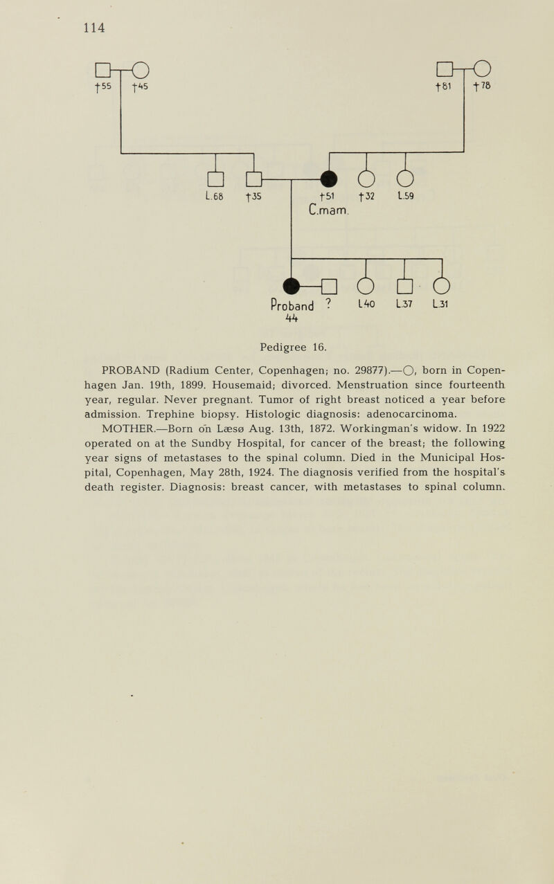 114 Proband ? L^o 1-.37 L31 Pedigree 16. PROBAND (Radium Center, Copenhagen; no. 29877).—O. born in Copen¬ hagen Jan. 19th, 1899. Housemaid; divorced. Menstruation since fourteenth year, regular. Never pregnant. Tumor of right breast noticed a year before admission. Trephine biopsy. Histologic diagnosis: adenocarcinoma. MOTHER.—Born on Laese Aug. 13th, 1872. Workingman's widow. In 1922 operated on at the Sundby Hospital, for cancer of the breast; the following year signs of metastases to the spinal column. Died in the Municipal Hos¬ pital, Copenhagen, May 28th, 1924. The diagnosis verified from the hospital's death register. Diagnosis: breast cancer, with metastases to spinal column^