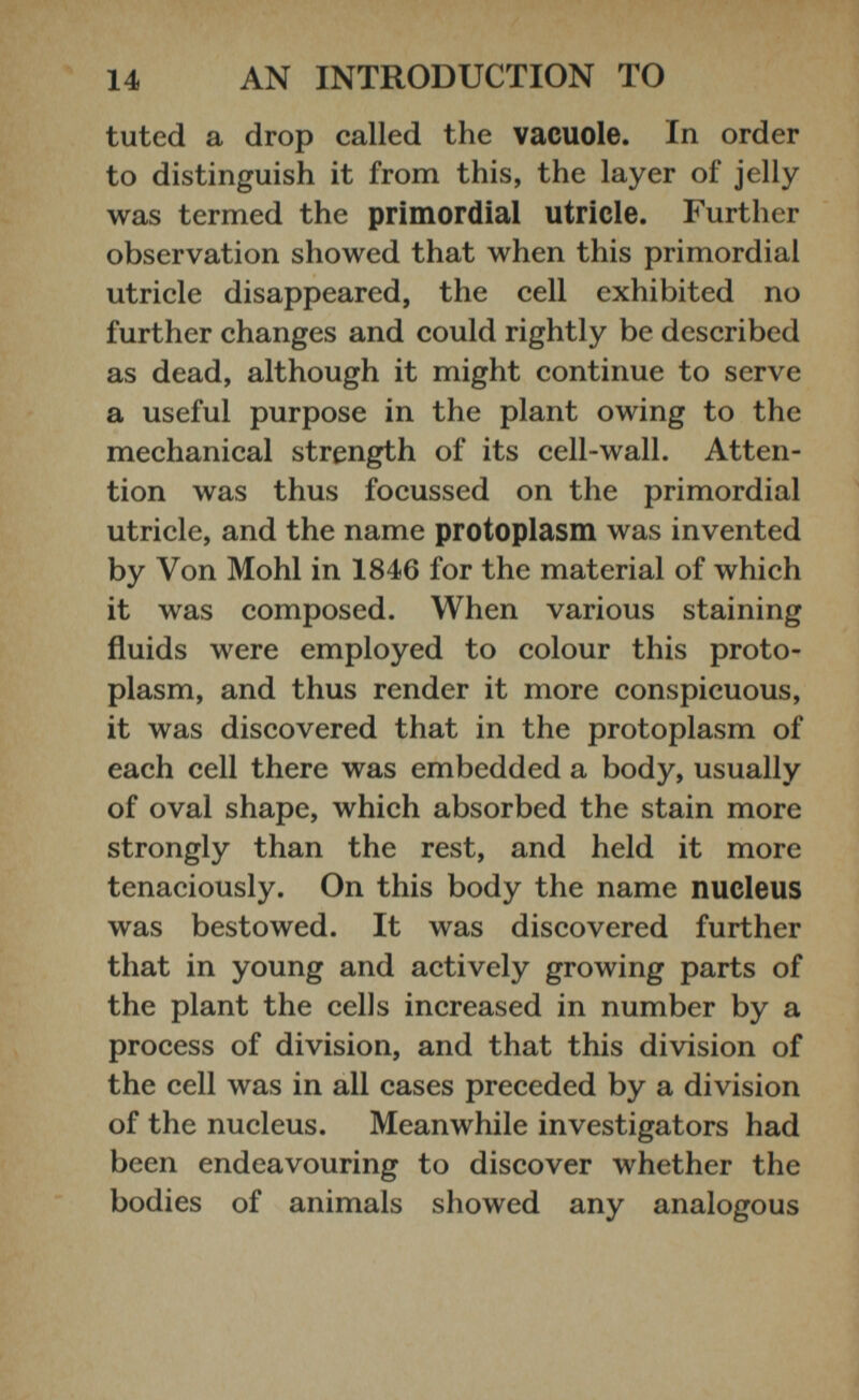 tuted a drop called the vacuole. In order to distinguish it from this, the layer of jelly was termed the primordial utricle. Further observation showed that when this primordial utricle disappeared, the cell exhibited no further changes and could rightly be described as dead, although it might continue to serve a useful purpose in the plant owing to the mechanical strength of its cell-wall. Atten tion was thus focussed on the primordial utricle, and the name protoplasm was invented by Von Mohl in 1846 for the material of which it was composed. When various staining fluids were employed to colour this proto plasm, and thus render it more conspicuous, it was discovered that in the protoplasm of each cell there was embedded a body, usually of oval shape, which absorbed the stain more strongly than the rest, and held it more tenaciously. On this body the name nucleus was bestowed. It was discovered further that in young and actively growing parts of the plant the cells increased in number by a process of division, and that this division of the cell was in all cases preceded by a division of the nucleus. Meanwhile investigators had been endeavouring to discover whether the bodies of animals showed any analogous