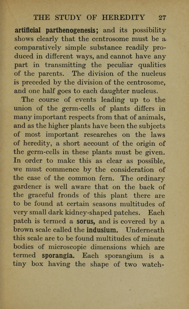 artificial parthenogenesis; and its possibility shows clearly that the centrosome must be a comparatively simple substance readily pro duced in different ways, and cannot have any part in transmitting the peculiar qualities of the parents. The division of the nucleus is preceded by the division of the centrosome, and one half goes to each daughter nucleus. The course of events leading up to the union of the germ-cells of plants differs in many important respects from that of animals, and as the higher plants have been the subjects of most important researches on the laws of heredity, a short account of the origin of the germ-cells in these plants must be given. In order to make this as clear as possible, we must commence by the consideration of the case of the common fern. The ordinary gardener is well aware that on the back of the graceful fronds of this plant there are to be found at certain seasons multitudes of very small dark kidney-shaped patches. Each patch is termed a sorus, and is covered by a brown scale called the indusium. Underneath this scale are to be found multitudes of minute bodies of microscopic dimensions which are termed sporangia. Each sporangium is a tiny box having the shape of two watch-