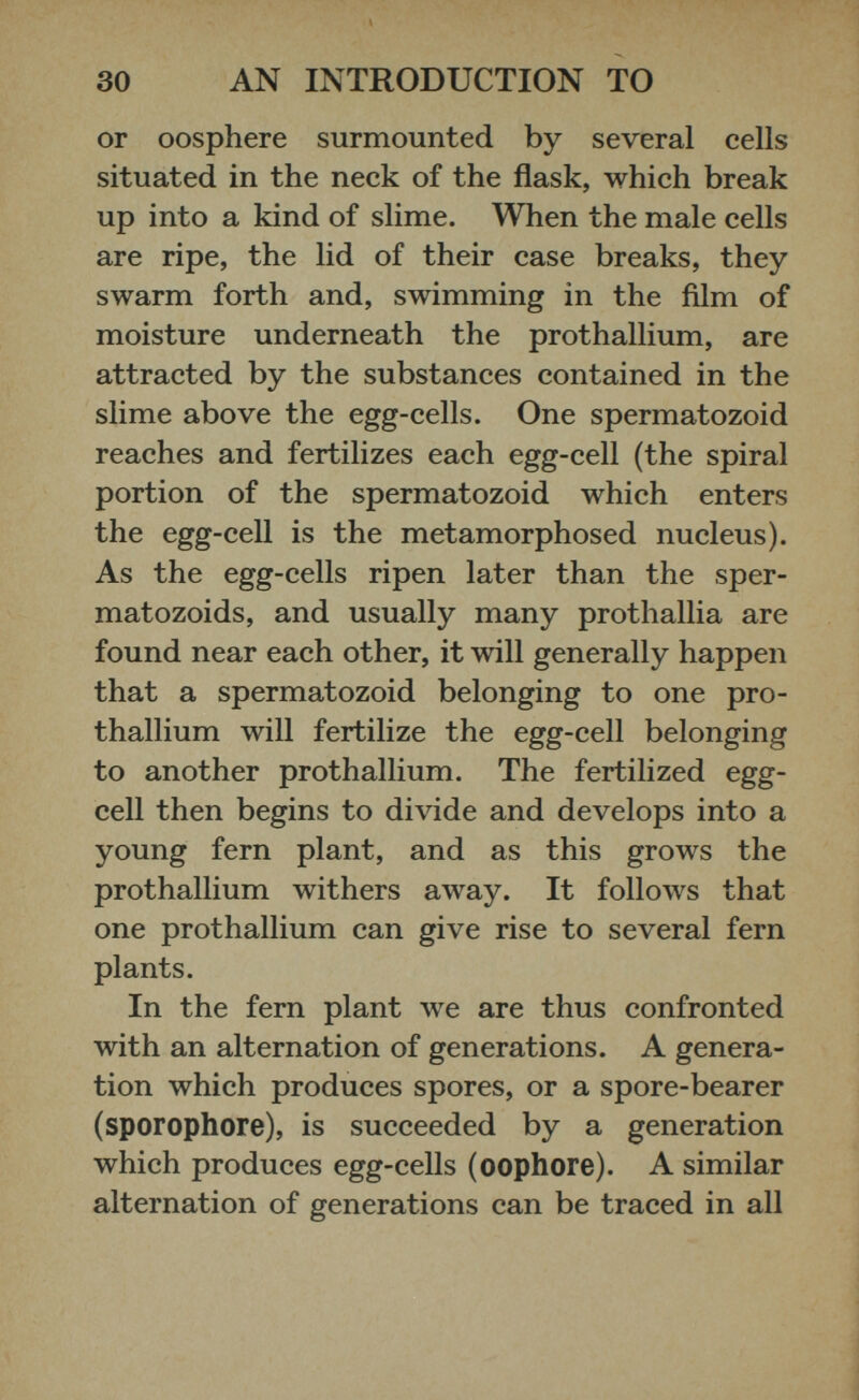 or oosphere surmounted by several cells situated in the neck of the flask, which break up into a kind of slime. When the male cells are ripe, the lid of their case breaks, they swarm forth and, swimming in the film of moisture underneath the prothallium, are attracted by the substances contained in the slime above the egg-cells. One spermatozoid reaches and fertilizes each egg-cell (the spiral portion of the spermatozoid which enters the egg-cell is the metamorphosed nucleus). As the egg-cells ripen later than the sper- matozoids, and usually many prothallia are found near each other, it will generally happen that a spermatozoid belonging to one pro- thallium will fertilize the egg-cell belonging to another prothallium. The fertilized egg cell then begins to divide and develops into a young fern plant, and as this grows the prothallium withers away. It follows that one prothallium can give rise to several fern plants. In the fern plant we are thus confronted with an alternation of generations. A genera tion which produces spores, or a spore-bearer (sporophore), is succeeded by a generation which produces egg-cells (oophore). A similar alternation of generations can be traced in all