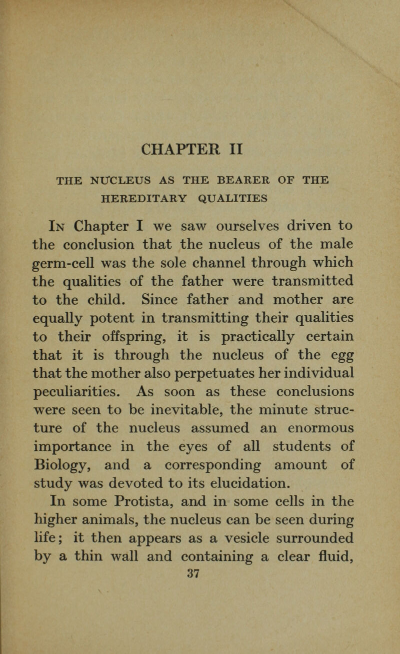 CHAPTER II THE NUCLEUS AS THE BEARER OF THE HEREDITARY QUALITIES In Chapter I we saw ourselves driven to the conclusion that the nucleus of the male germ-cell was the sole channel through which the qualities of the father were transmitted to the child. Since father and mother are equally potent in transmitting their qualities to their offspring, it is practically certain that it is through the nucleus of the egg that the mother also perpetuates her individual peculiarities. As soon as these conclusions were seen to be inevitable, the minute struc ture of the nucleus assumed an enormous importance in the eyes of all students of Biology, and a corresponding amount of study was devoted to its elucidation. In some Protista, and in some cells in the higher animals, the nucleus can be seen during life; it then appears as a vesicle surrounded by a thin wall and containing a clear fluid, 37