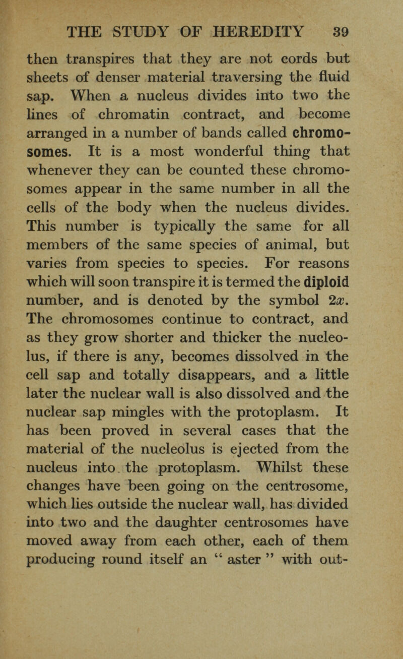 then transpires that they are not cords but sheets of denser material traversing the fluid sap. When a nucleus divides into two the lines of chromatin contract, and become arranged in a number of bands called chromo somes. It is a most wonderful thing that whenever they can be counted these chromo somes appear in the same number in all the cells of the body when the nucleus divides. This number is typically the same for all members of the same species of animal, but varies from species to species. For reasons which will soon transpire it is termed the diploid number, and is denoted by the symbol 2x. The chromosomes continue to contract, and as they grow shorter and thicker the nucleo lus, if there is any, becomes dissolved in the cell sap and totally disappears, and a little later the nuclear wall is also dissolved and the nuclear sap mingles with the protoplasm. It has been proved in several cases that the material of the nucleolus is ejected from the nucleus into the protoplasm. Whilst these changes have been going on the centrosome, which lies outside the nuclear wall, has divided into two and the daughter centrosomes have moved away from each other, each of them producing round itself an “ aster ” with out-