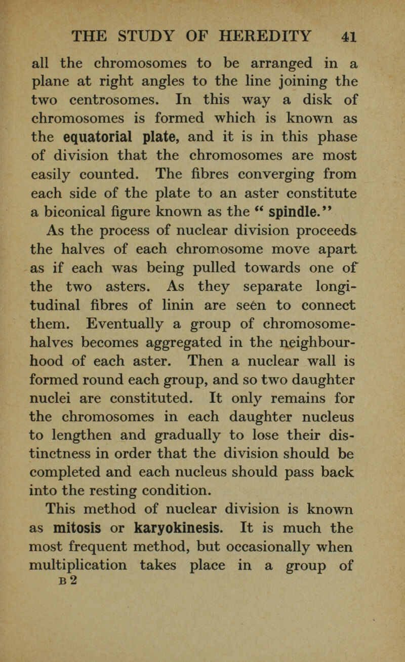 all the chromosomes to be arranged in a plane at right angles to the line joining the two centrosomes. In this way a disk of chromosomes is formed which is known as the equatorial plate, and it is in this phase of division that the chromosomes are most easily counted. The fibres converging from each side of the plate to an aster constitute a biconical figure known as the “ spindle.” As the process of nuclear division proceeds the halves of each chromosome move apart as if each was being pulled towards one of the two asters. As they separate longi tudinal fibres of linin are seen to connect them. Eventually a group of chromosome- halves becomes aggregated in the neighbour hood of each aster. Then a nuclear wall is formed round each group, and so two daughter nuclei are constituted. It only remains for the chromosomes in each daughter nucleus to lengthen and gradually to lose their dis tinctness in order that the division should be completed and each nucleus should pass back into the resting condition. This method of nuclear division is known as mitosis or karyokinesis. It is much the most frequent method, but occasionally when multiplication takes place in a group of